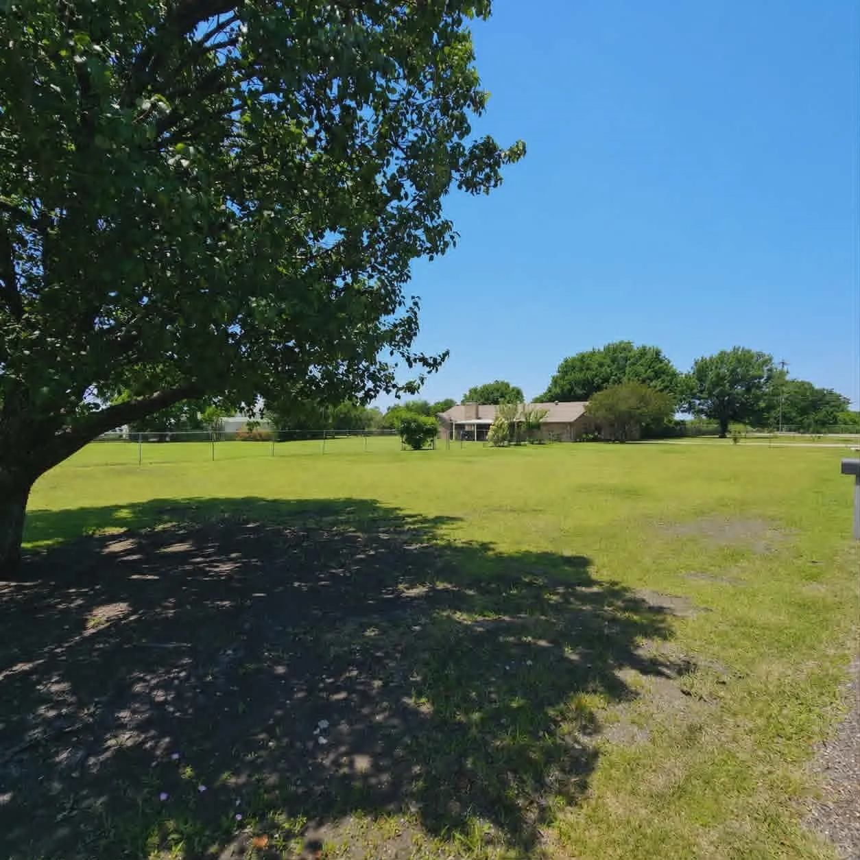 Expansive green lawn with mature trees and partial fencing