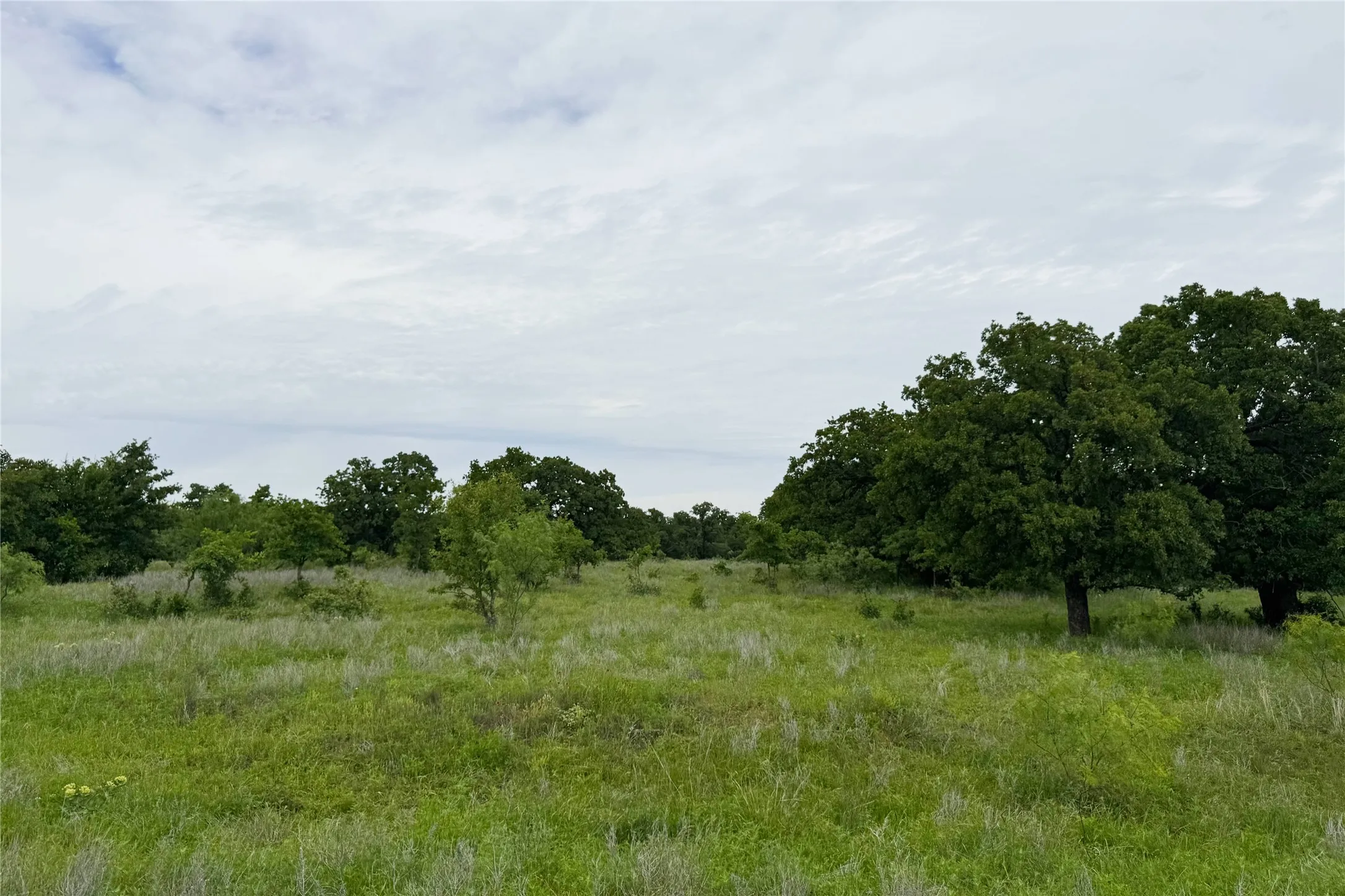 Ranch For Sale in Clay County , 6718 FM 175, Henrietta, Texas 76365, 0, 0, Garage spaces, 0 Sqft, built in 0, Price $2,160,000, mls#21269913, Real Estate Agent in Henrietta, Homes For Sale in Clay county, Homes For Sale in Henrietta, Realtor in Henrietta Texas, Real Estate Brokerage Independent Realty Texas, Luminita Cordes Realtor