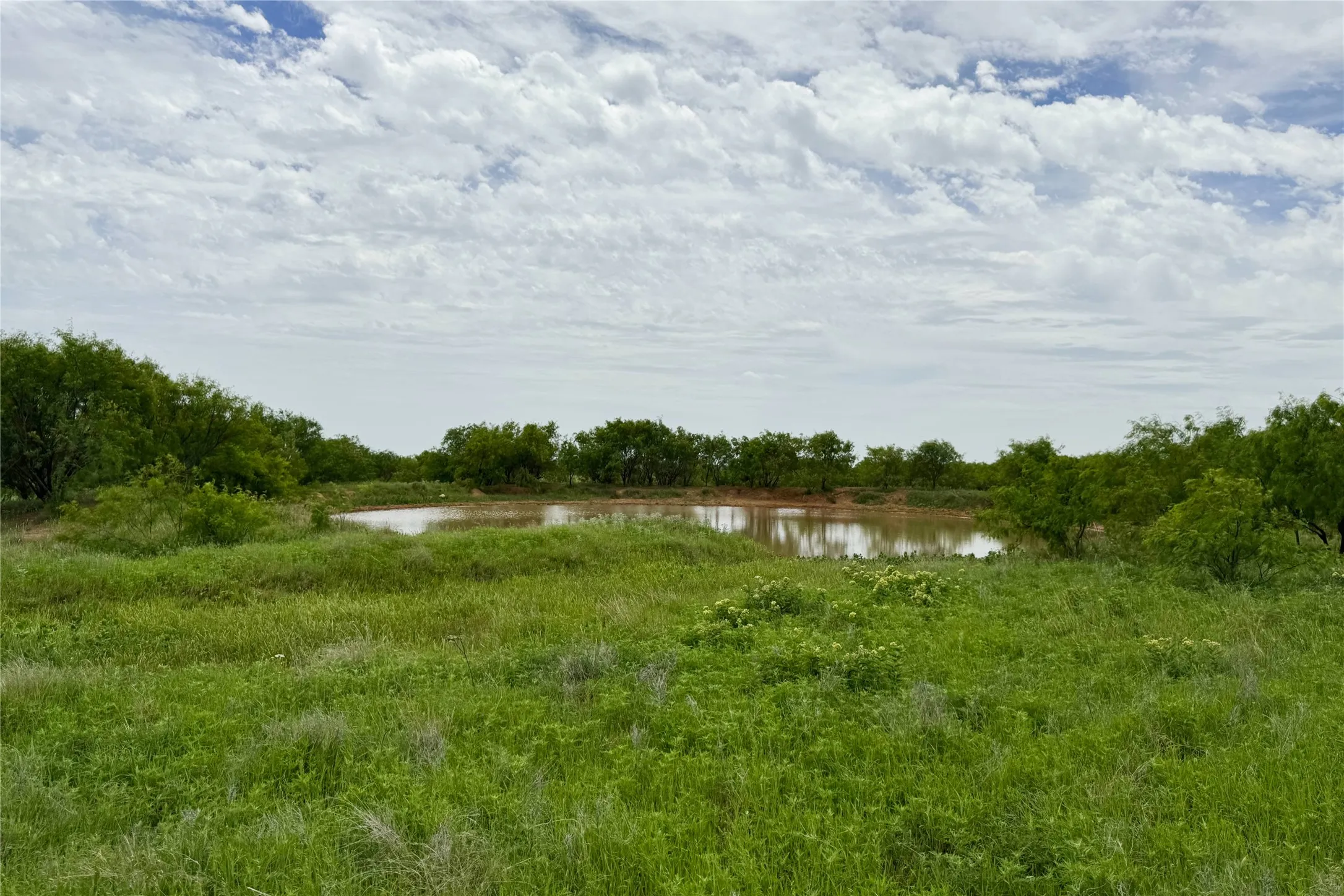 Ranch For Sale in Clay County , 6718 FM 175, Henrietta, Texas 76365, 0, 0, Garage spaces, 0 Sqft, built in 0, Price $2,160,000, mls#21269913, Real Estate Agent in Henrietta, Homes For Sale in Clay county, Homes For Sale in Henrietta, Realtor in Henrietta Texas, Real Estate Brokerage Independent Realty Texas, Luminita Cordes Realtor