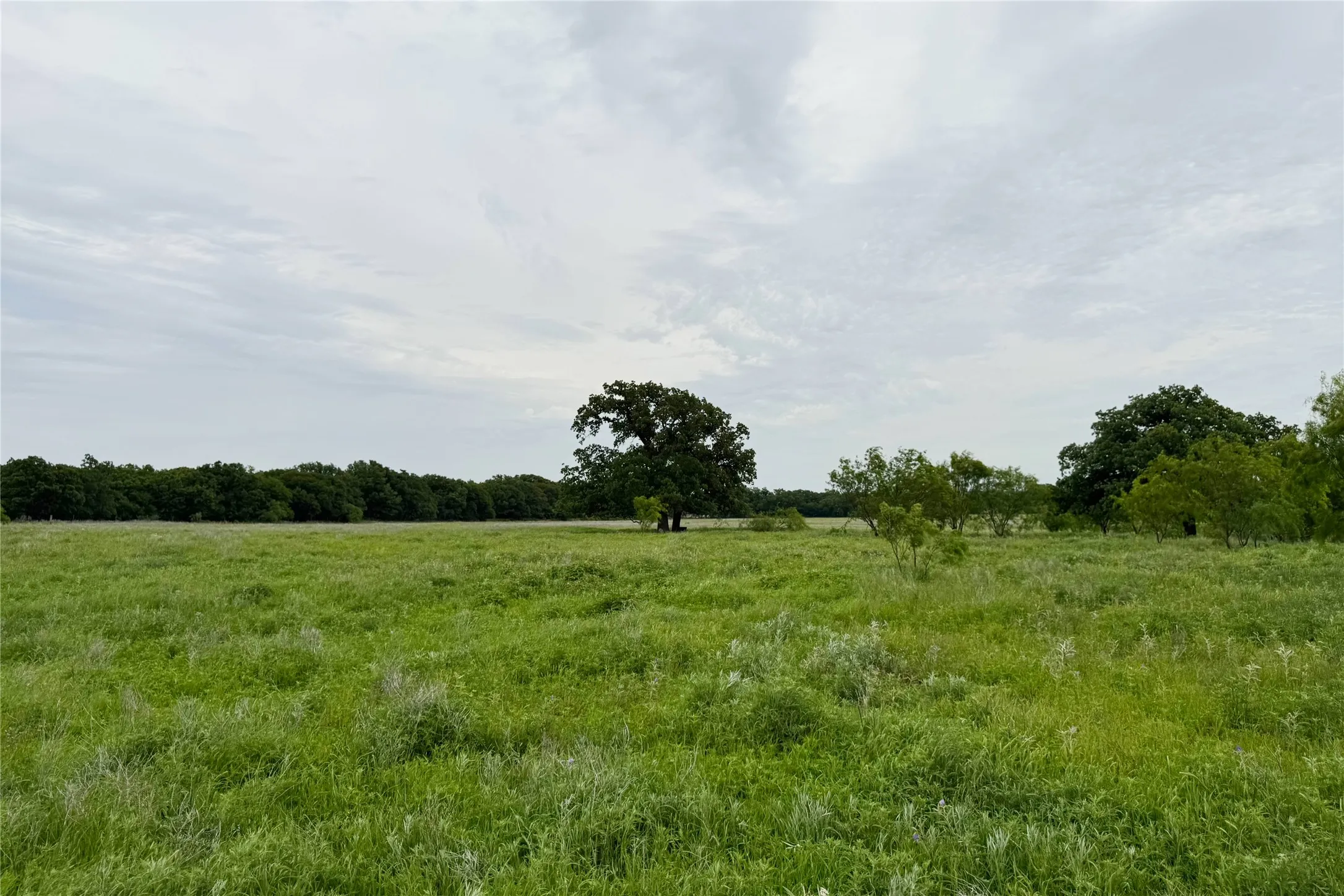 Ranch For Sale in Clay County , 6718 FM 175, Henrietta, Texas 76365, 0, 0, Garage spaces, 0 Sqft, built in 0, Price $2,160,000, mls#21269913, Real Estate Agent in Henrietta, Homes For Sale in Clay county, Homes For Sale in Henrietta, Realtor in Henrietta Texas, Real Estate Brokerage Independent Realty Texas, Luminita Cordes Realtor