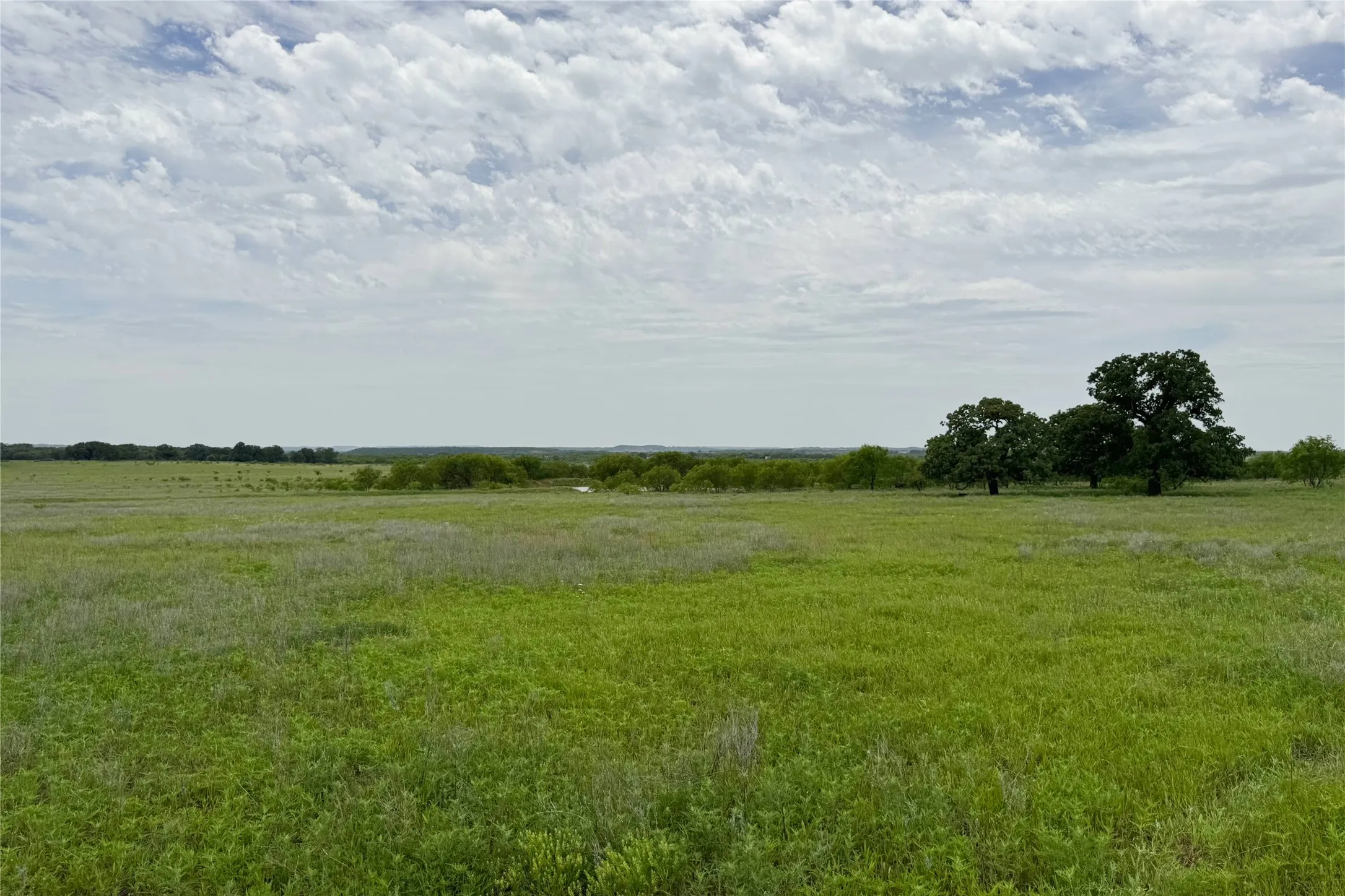 Ranch For Sale in Clay County , 6718 FM 175, Henrietta, Texas 76365, 0, 0, Garage spaces, 0 Sqft, built in 0, Price $2,160,000, mls#21269913, Real Estate Agent in Henrietta, Homes For Sale in Clay county, Homes For Sale in Henrietta, Realtor in Henrietta Texas, Real Estate Brokerage Independent Realty Texas, Luminita Cordes Realtor