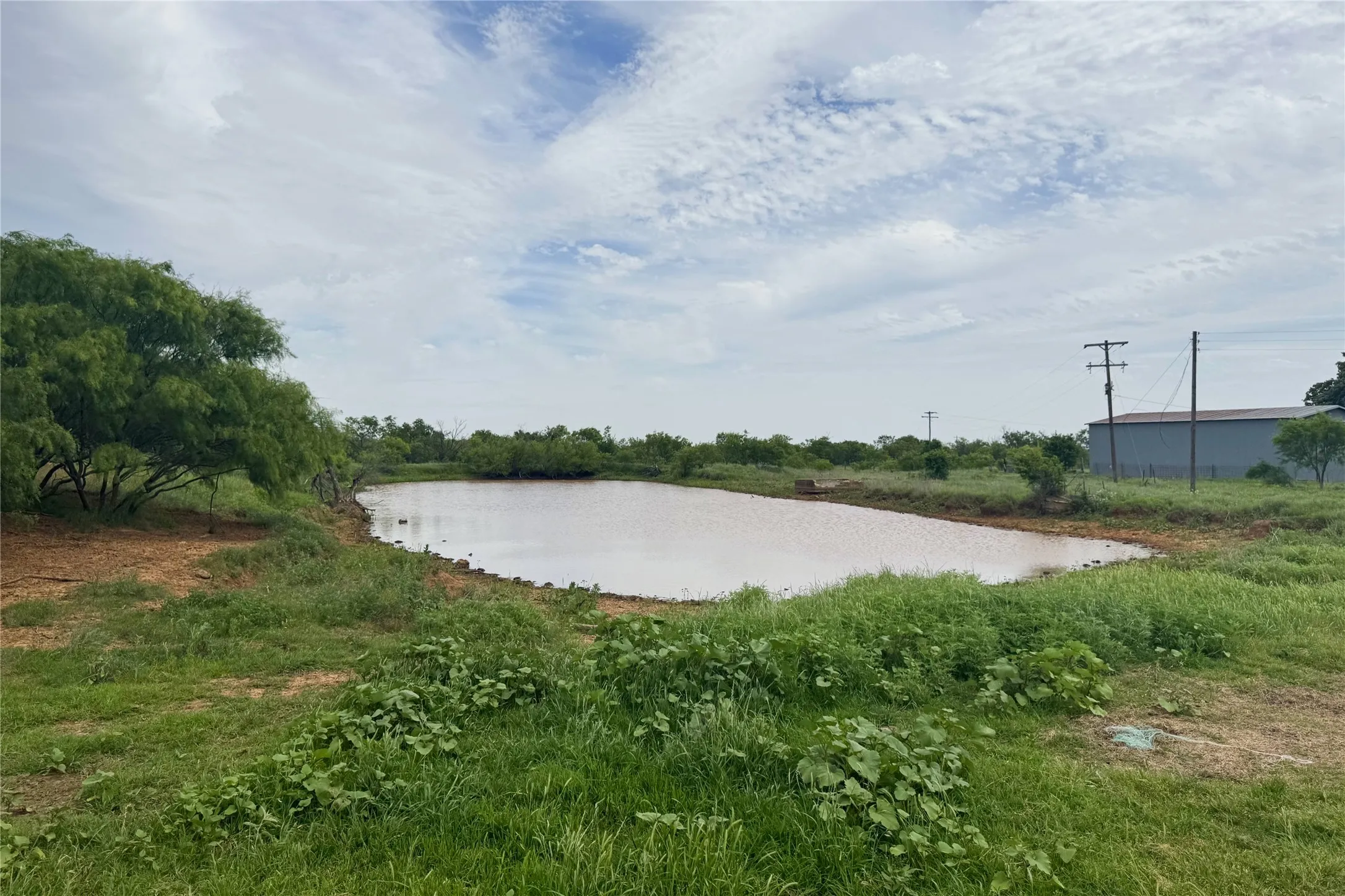 Ranch For Sale in Clay County , 6718 FM 175, Henrietta, Texas 76365, 0, 0, Garage spaces, 0 Sqft, built in 0, Price $2,160,000, mls#21269913, Real Estate Agent in Henrietta, Homes For Sale in Clay county, Homes For Sale in Henrietta, Realtor in Henrietta Texas, Real Estate Brokerage Independent Realty Texas, Luminita Cordes Realtor