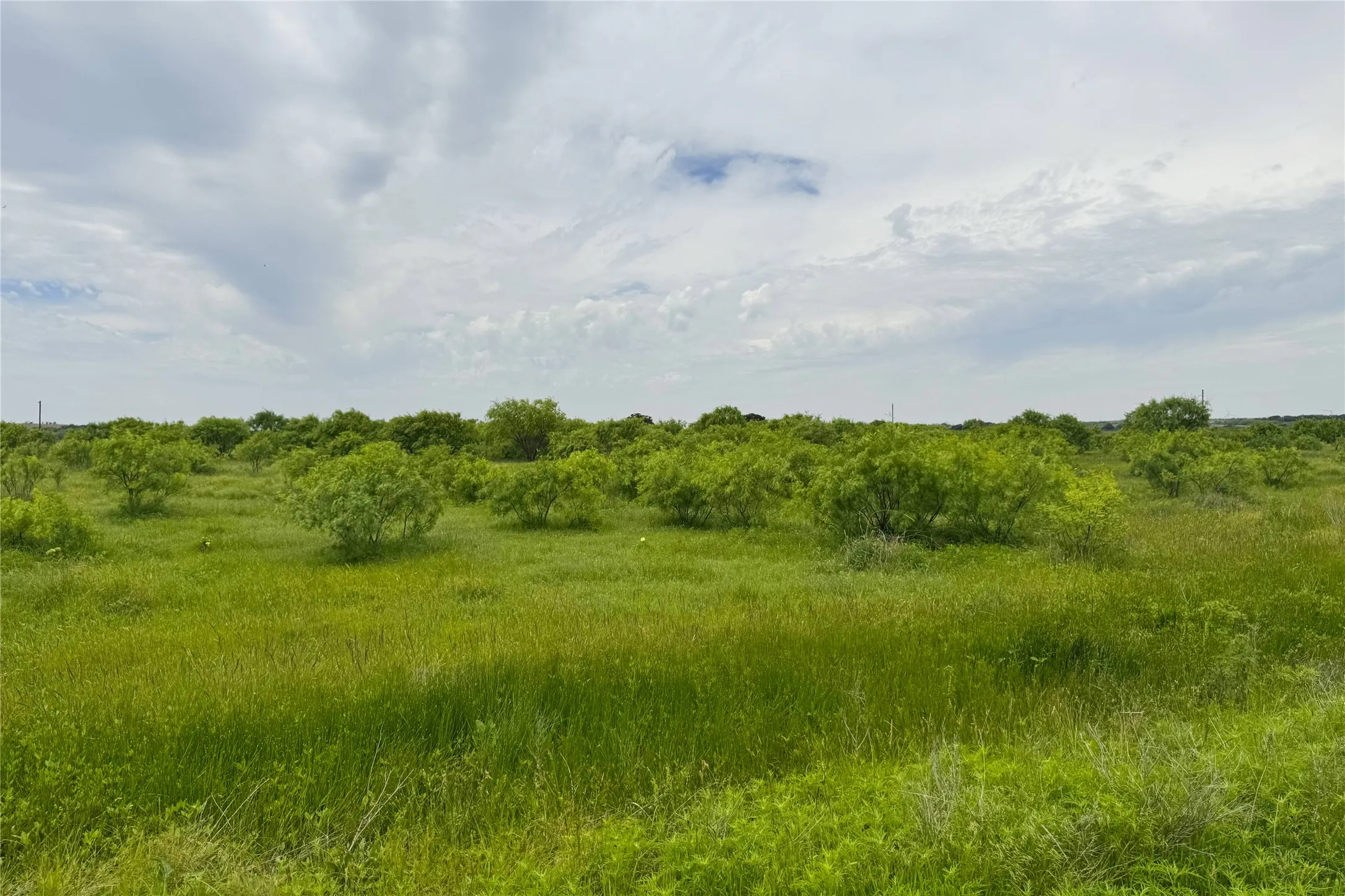 Ranch For Sale in Clay County , 6718 FM 175, Henrietta, Texas 76365, 0, 0, Garage spaces, 0 Sqft, built in 0, Price $2,160,000, mls#21269913, Real Estate Agent in Henrietta, Homes For Sale in Clay county, Homes For Sale in Henrietta, Realtor in Henrietta Texas, Real Estate Brokerage Independent Realty Texas, Luminita Cordes Realtor