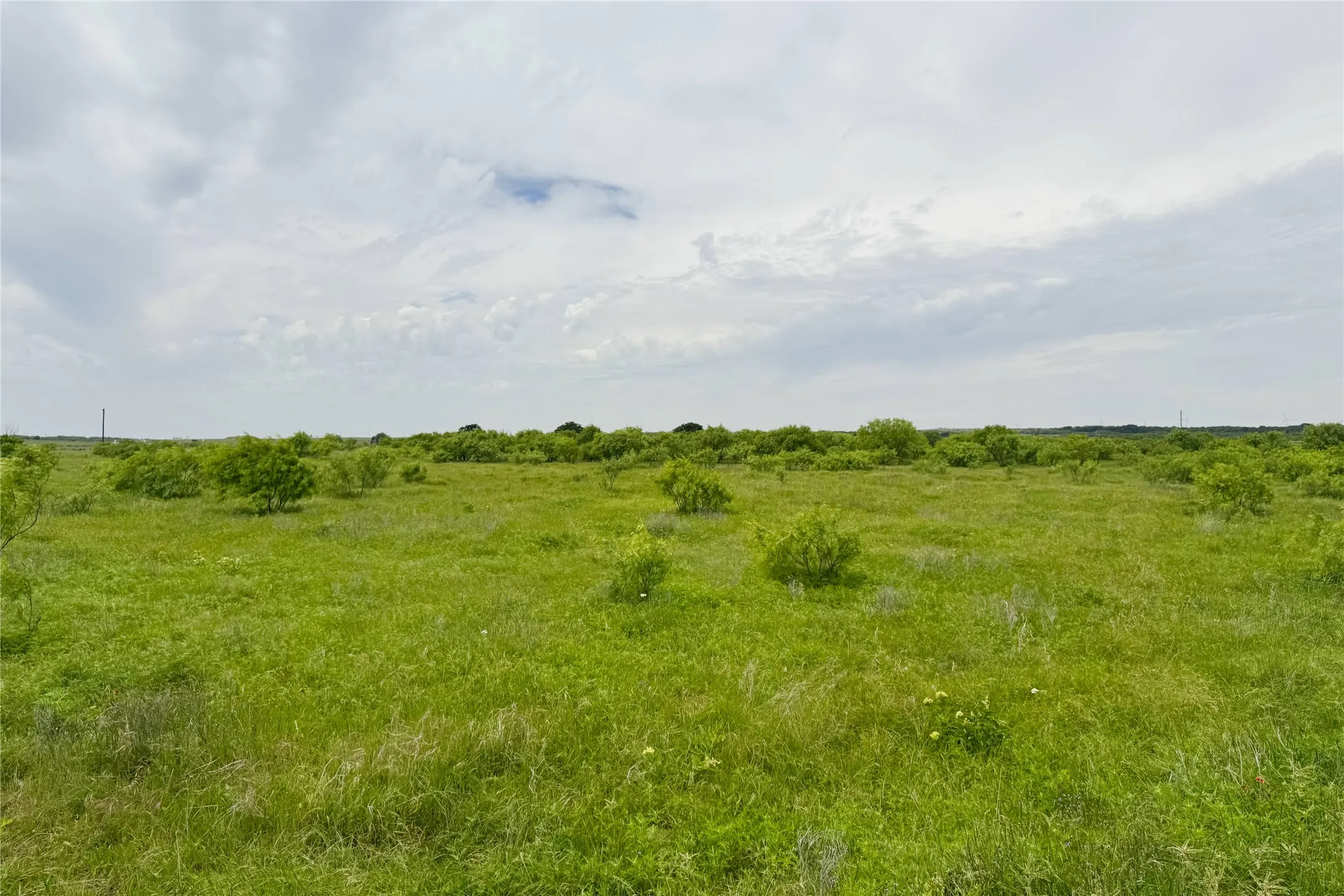Ranch For Sale in Clay County , 6718 FM 175, Henrietta, Texas 76365, 0, 0, Garage spaces, 0 Sqft, built in 0, Price $2,160,000, mls#21269913, Real Estate Agent in Henrietta, Homes For Sale in Clay county, Homes For Sale in Henrietta, Realtor in Henrietta Texas, Real Estate Brokerage Independent Realty Texas, Luminita Cordes Realtor
