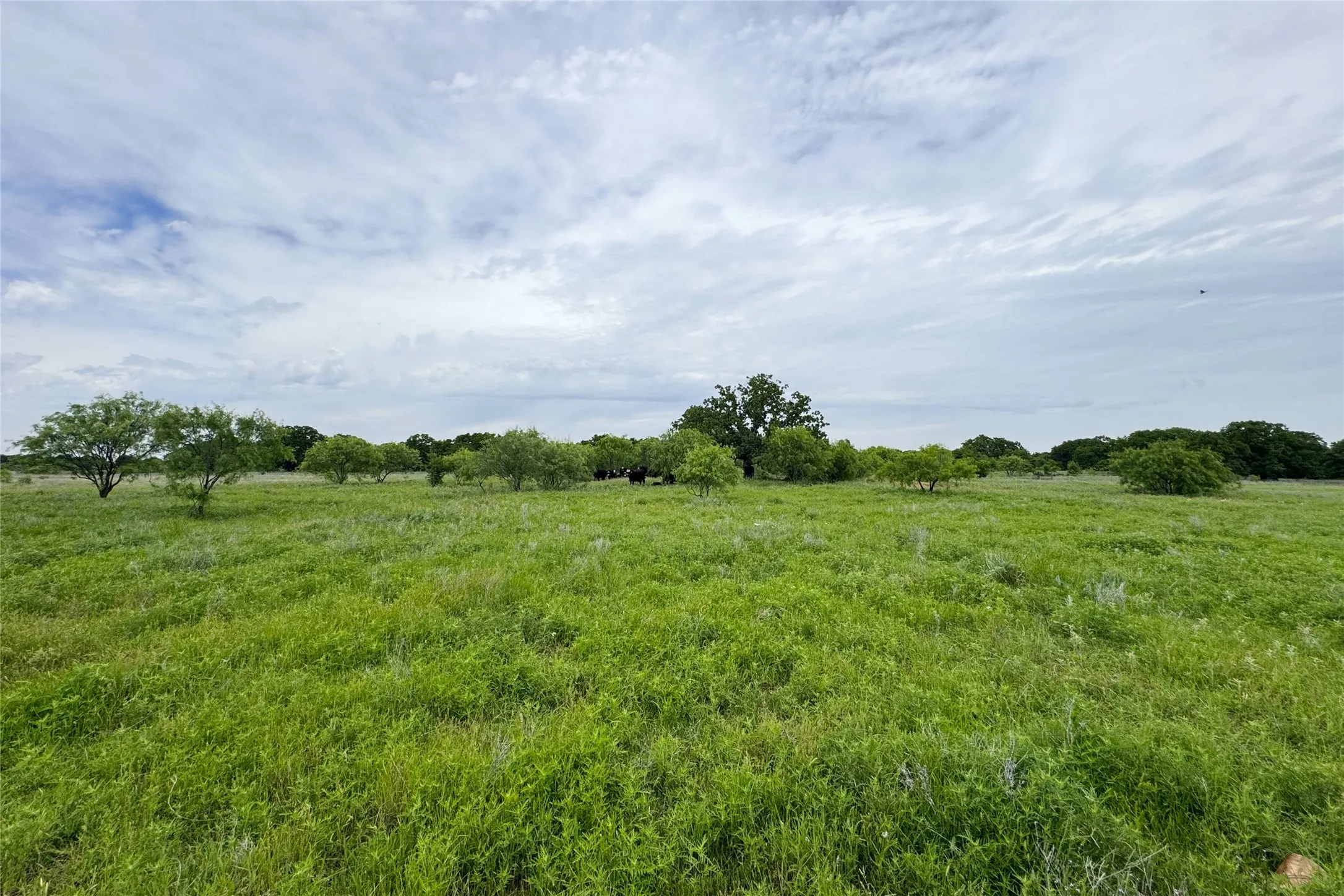 Ranch For Sale in Clay County , 6718 FM 175, Henrietta, Texas 76365, 0, 0, Garage spaces, 0 Sqft, built in 0, Price $2,160,000, mls#21269913, Real Estate Agent in Henrietta, Homes For Sale in Clay county, Homes For Sale in Henrietta, Realtor in Henrietta Texas, Real Estate Brokerage Independent Realty Texas, Luminita Cordes Realtor
