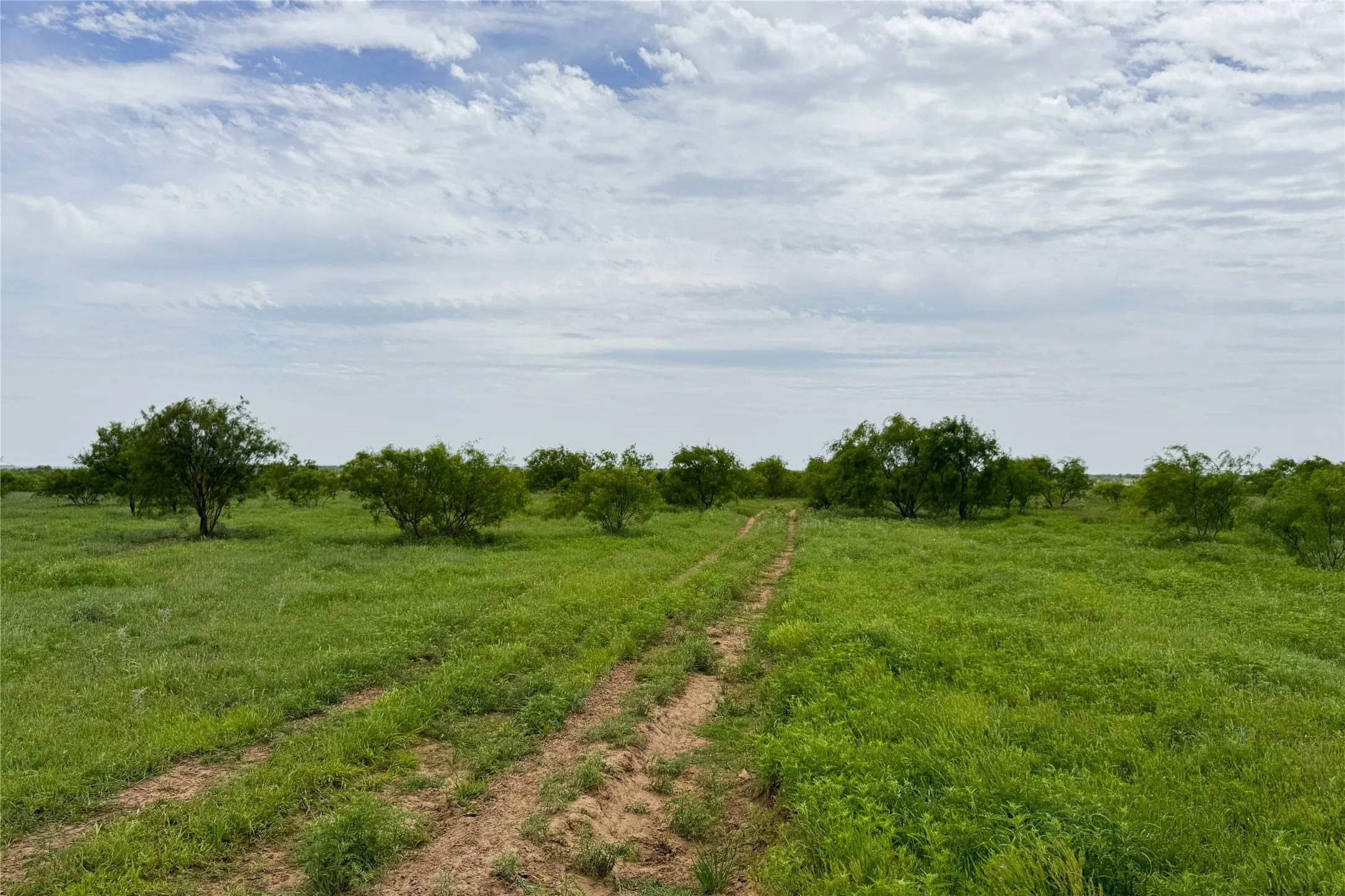 Ranch For Sale in Clay County , 6718 FM 175, Henrietta, Texas 76365, 0, 0, Garage spaces, 0 Sqft, built in 0, Price $2,160,000, mls#21269913, Real Estate Agent in Henrietta, Homes For Sale in Clay county, Homes For Sale in Henrietta, Realtor in Henrietta Texas, Real Estate Brokerage Independent Realty Texas, Luminita Cordes Realtor