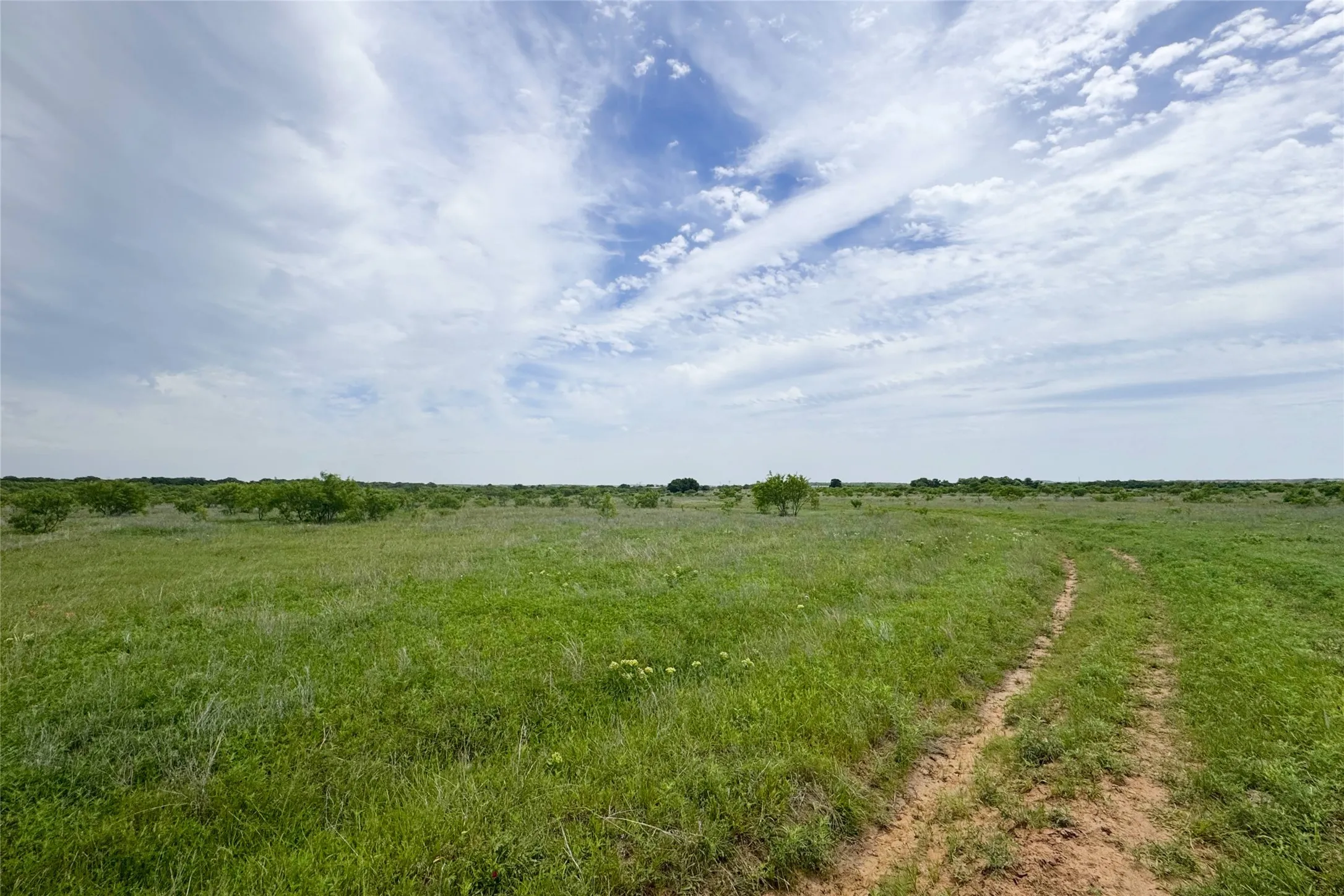 Ranch For Sale in Clay County , 6718 FM 175, Henrietta, Texas 76365, 0, 0, Garage spaces, 0 Sqft, built in 0, Price $2,160,000, mls#21269913, Real Estate Agent in Henrietta, Homes For Sale in Clay county, Homes For Sale in Henrietta, Realtor in Henrietta Texas, Real Estate Brokerage Independent Realty Texas, Luminita Cordes Realtor