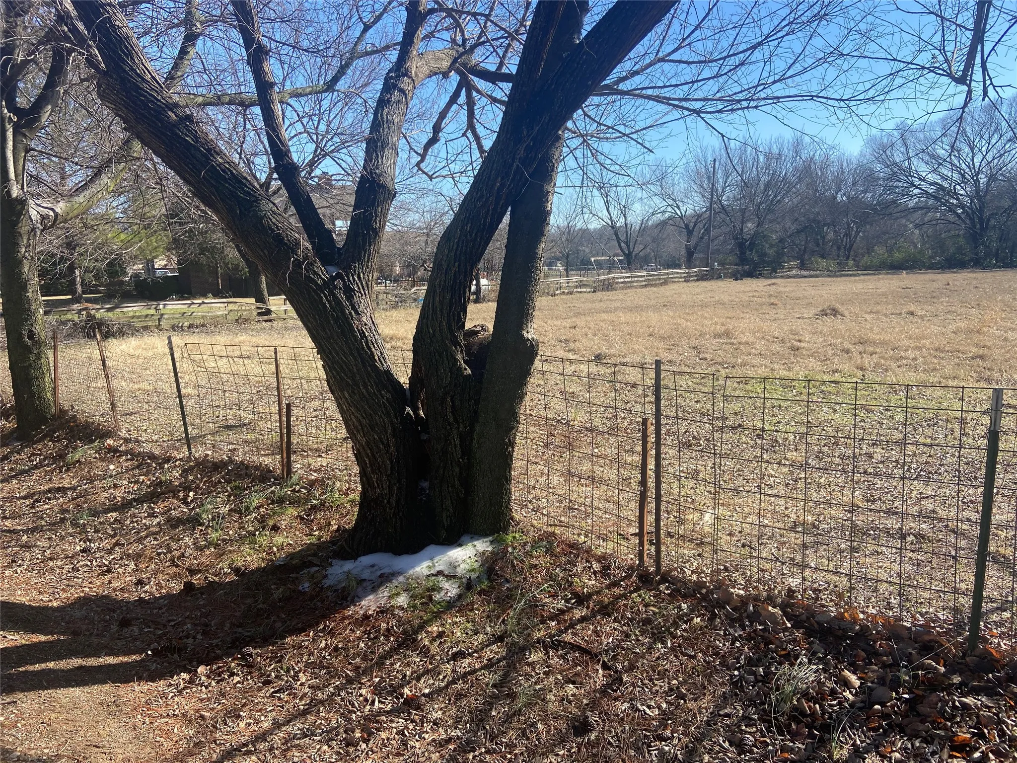 Unimproved Land For Sale in Denton County , 6725 ORCHARD Drive, Flower Mound, Texas 75022, 0, 0, Garage spaces, 0 Sqft, built in 0, mls#21269955, Real Estate Agent in Flower Mound, Homes For Sale in Denton county, Homes For Sale in Flower Mound, Realtor in Flower Mound Texas, Real Estate Brokerage Independent Realty Texas, Luminita Cordes Realtor
