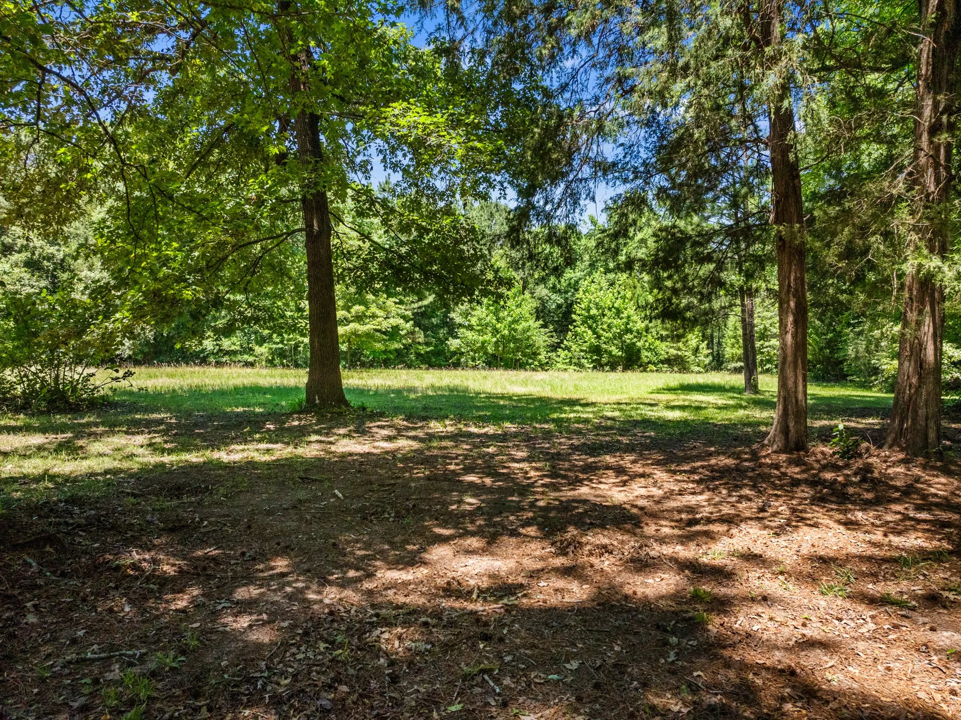 Single Family Residence For Sale in Cass County , 4469 County Road 1579, Avinger, Texas 75630, 3 Bedrooms, 2 Bathrooms, Garage spaces, 1,536 Sqft, built in 1993, Price $655,000, mls#21269948, Real Estate Agent in Avinger, Homes For Sale in Cass county, Homes For Sale in Avinger, Realtor in Avinger Texas, Real Estate Brokerage Independent Realty Texas, Luminita Cordes Realtor
