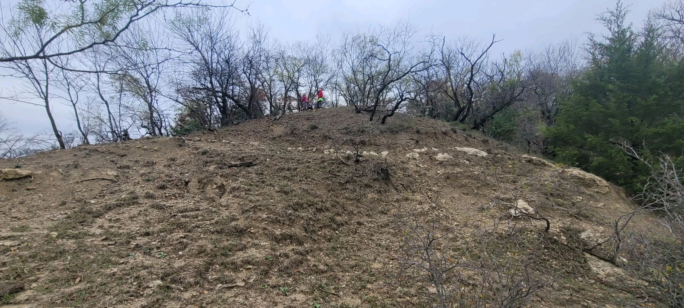 Gradual earthen slope with scattered brush and trees
