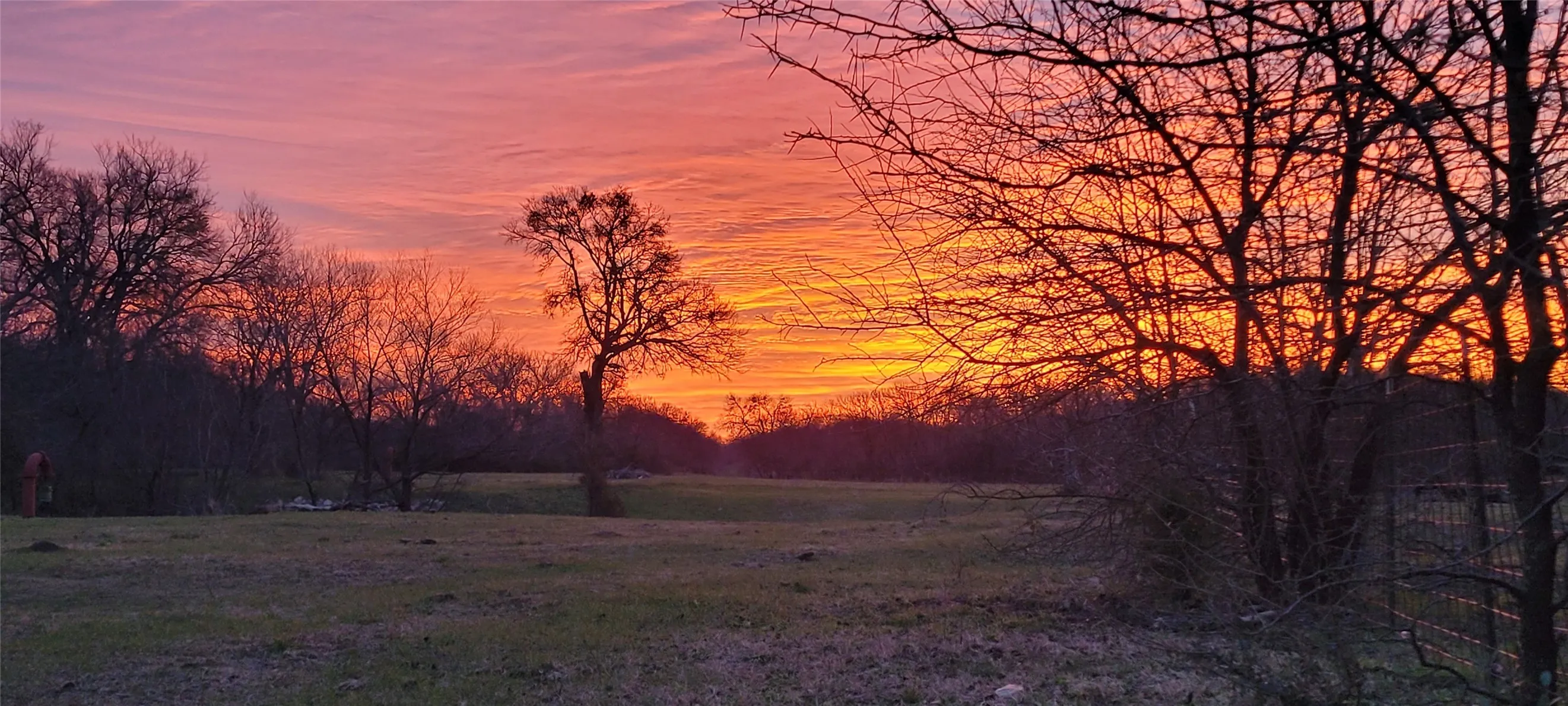 Expansive natural landscape with a vibrant sunset backdrop, featuring mature trees and open fields