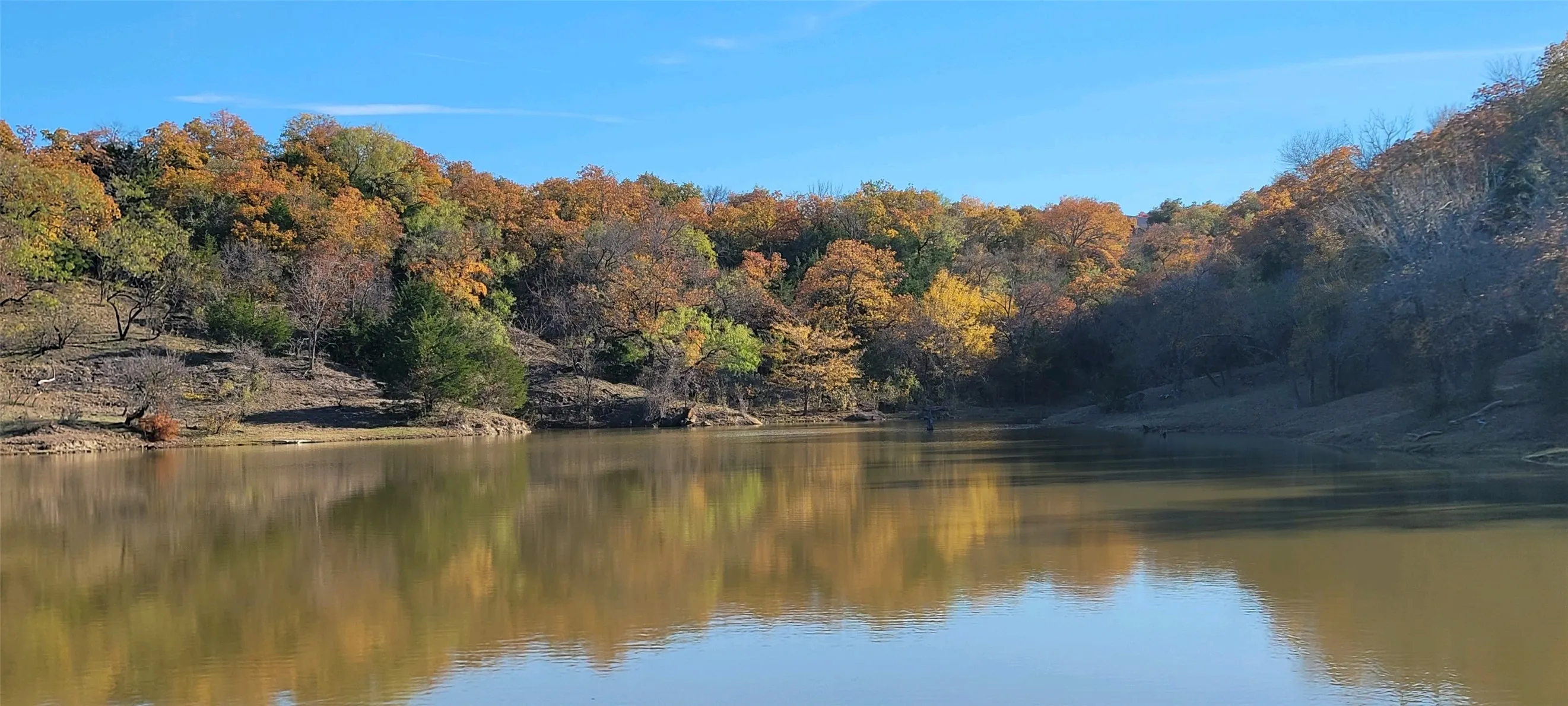 Natural body of water with reflections, surrounded by varied foliage and a clear blue sky