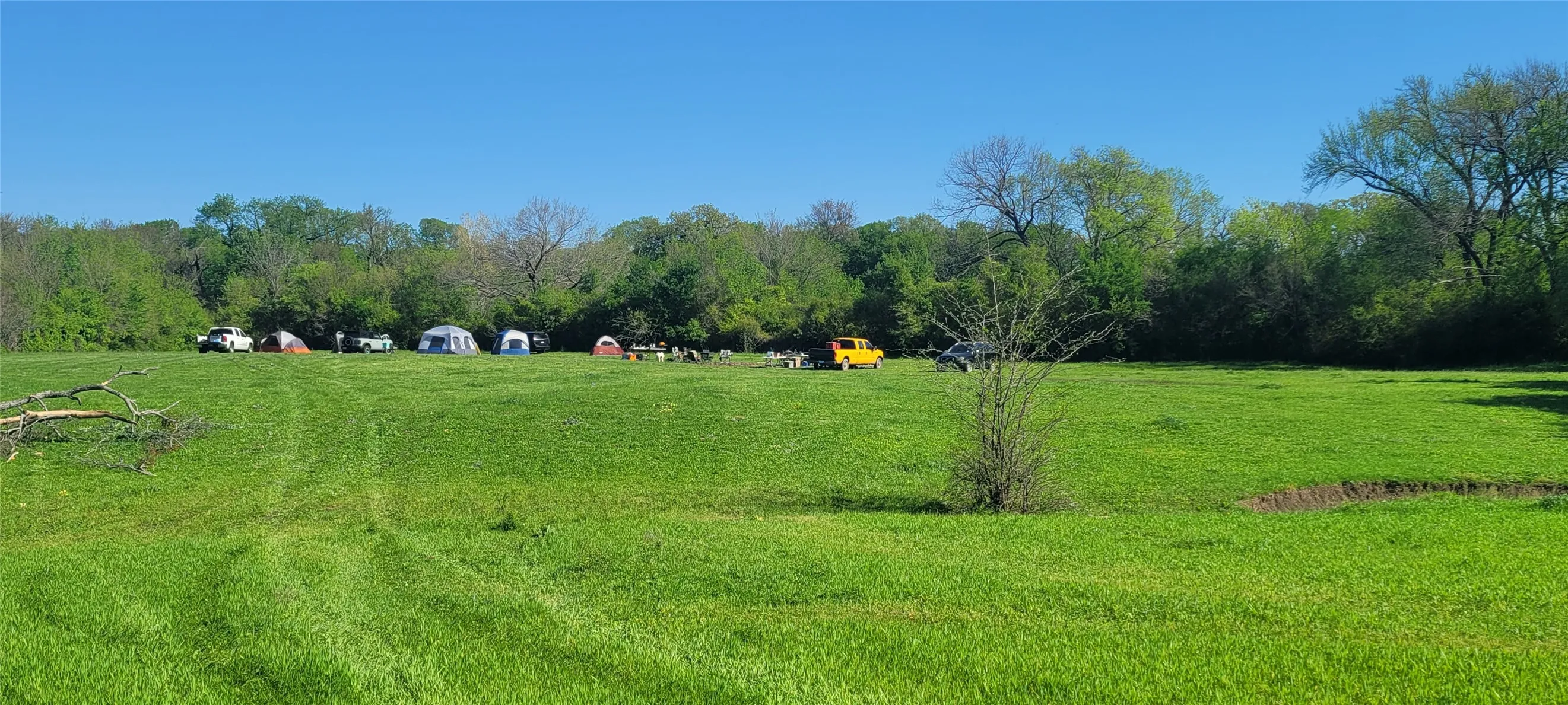 Expansive open field featuring lush green grass and a tree line in the background
