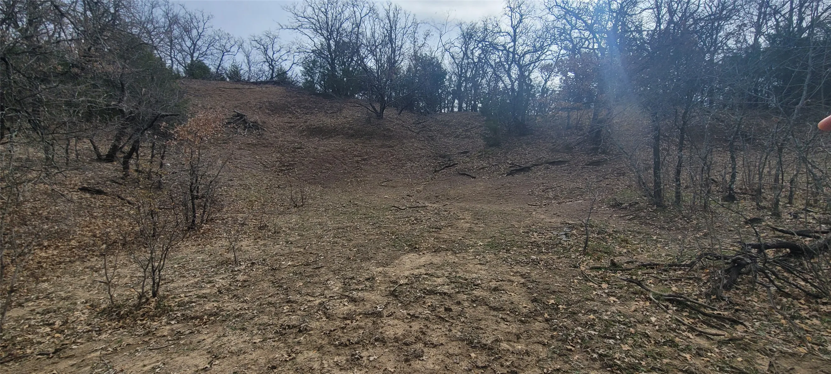 Natural, undeveloped land featuring diverse terrain with mature trees and varied underbrush