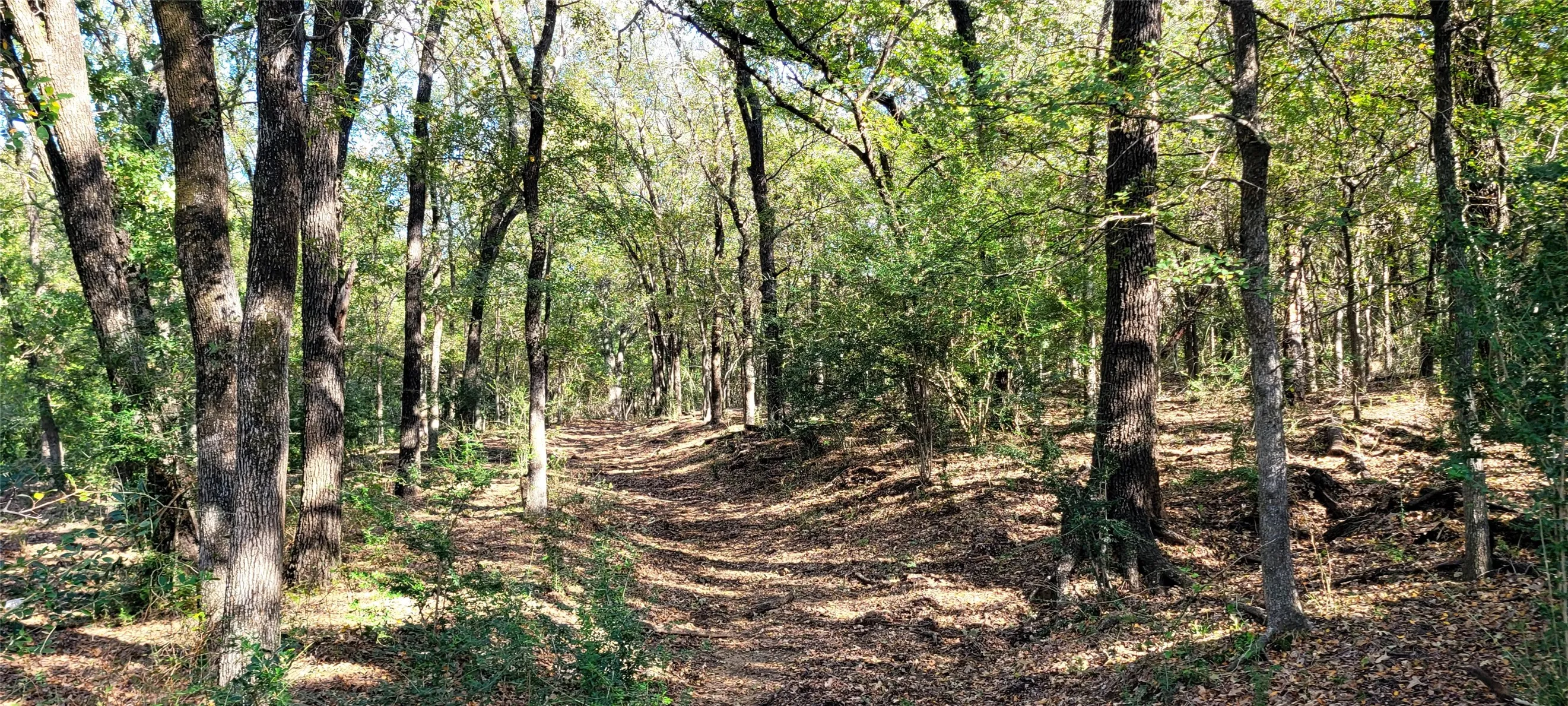 Ranch For Sale in Tarrant County , 8601 Lowery Road, Fort Worth, Texas 76120, 0, 0, Garage spaces, 0 Sqft, built in 1910, Price $3,800,000, mls#21270012, Real Estate Agent in Fort Worth, Homes For Sale in Tarrant county, Homes For Sale in Fort Worth, Realtor in Fort Worth Texas, Real Estate Brokerage Independent Realty Texas, Luminita Cordes Realtor