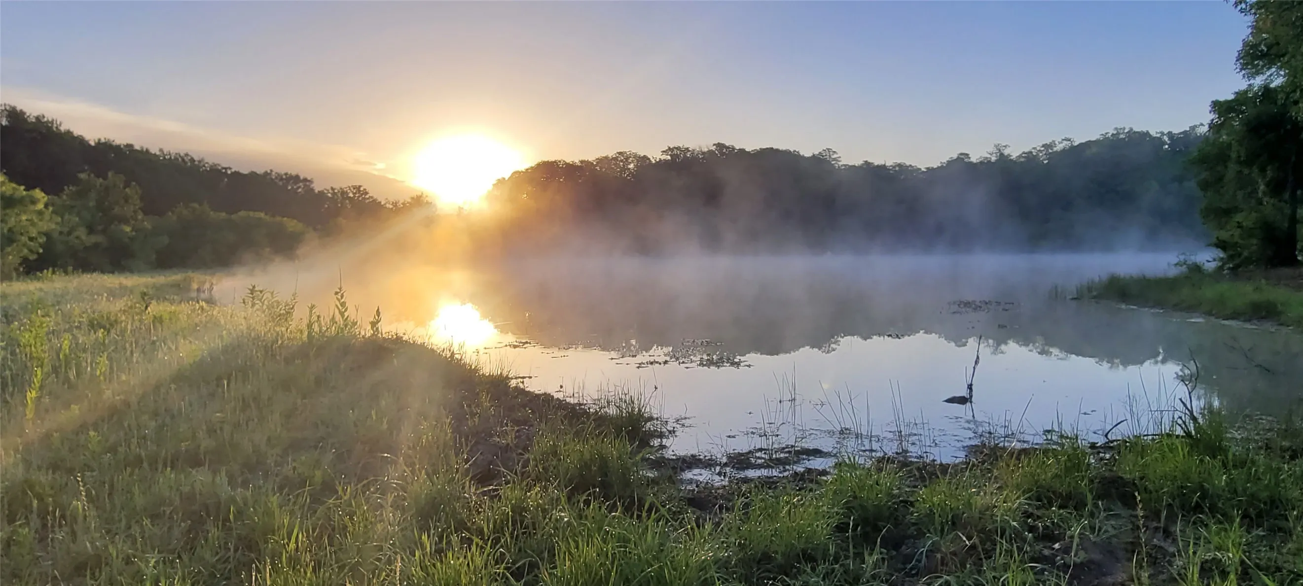 Tranquil waterfront featuring a reflective body of water with surrounding natural grasses and mature trees