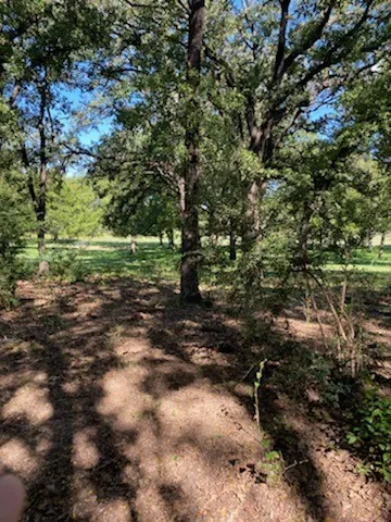 Diverse Topo through out the property