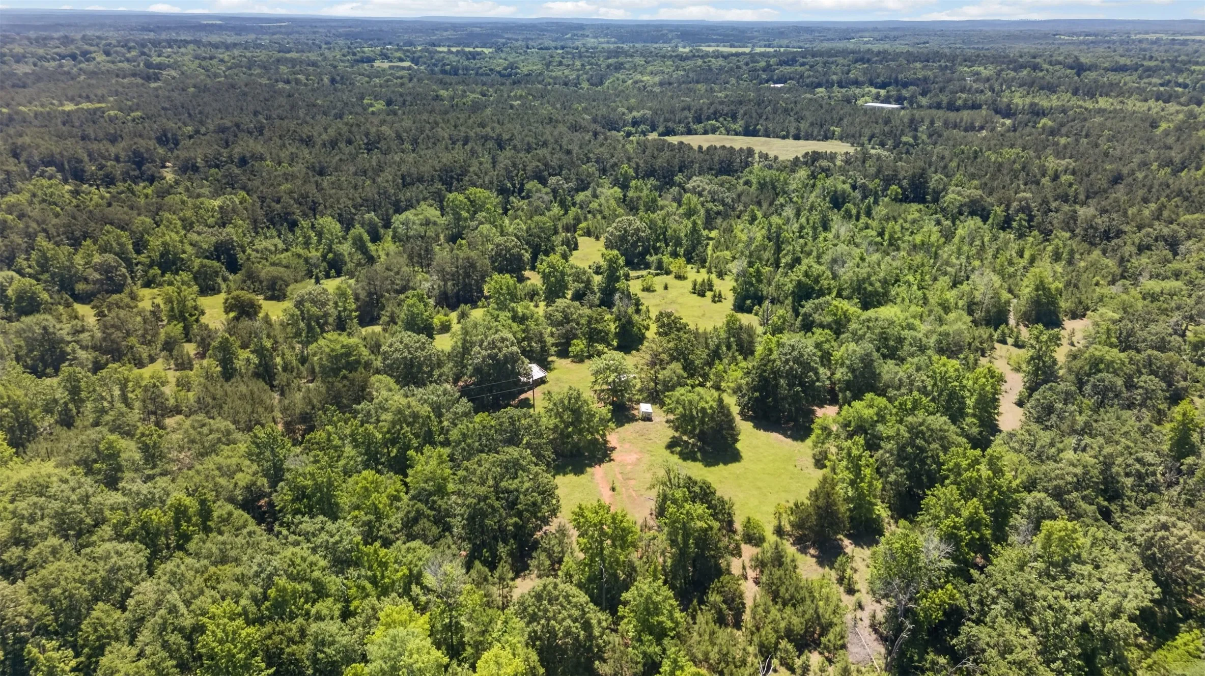 Unimproved Land For Sale in Anderson County , 0 Anderson County Road 359 (Off), Palestine, Texas 75801, 0, 0, Garage spaces, 0 Sqft, built in 0, mls#21270060, Real Estate Agent in Palestine, Homes For Sale in Anderson county, Homes For Sale in Palestine, Realtor in Palestine Texas, Real Estate Brokerage Independent Realty Texas, Luminita Cordes Realtor