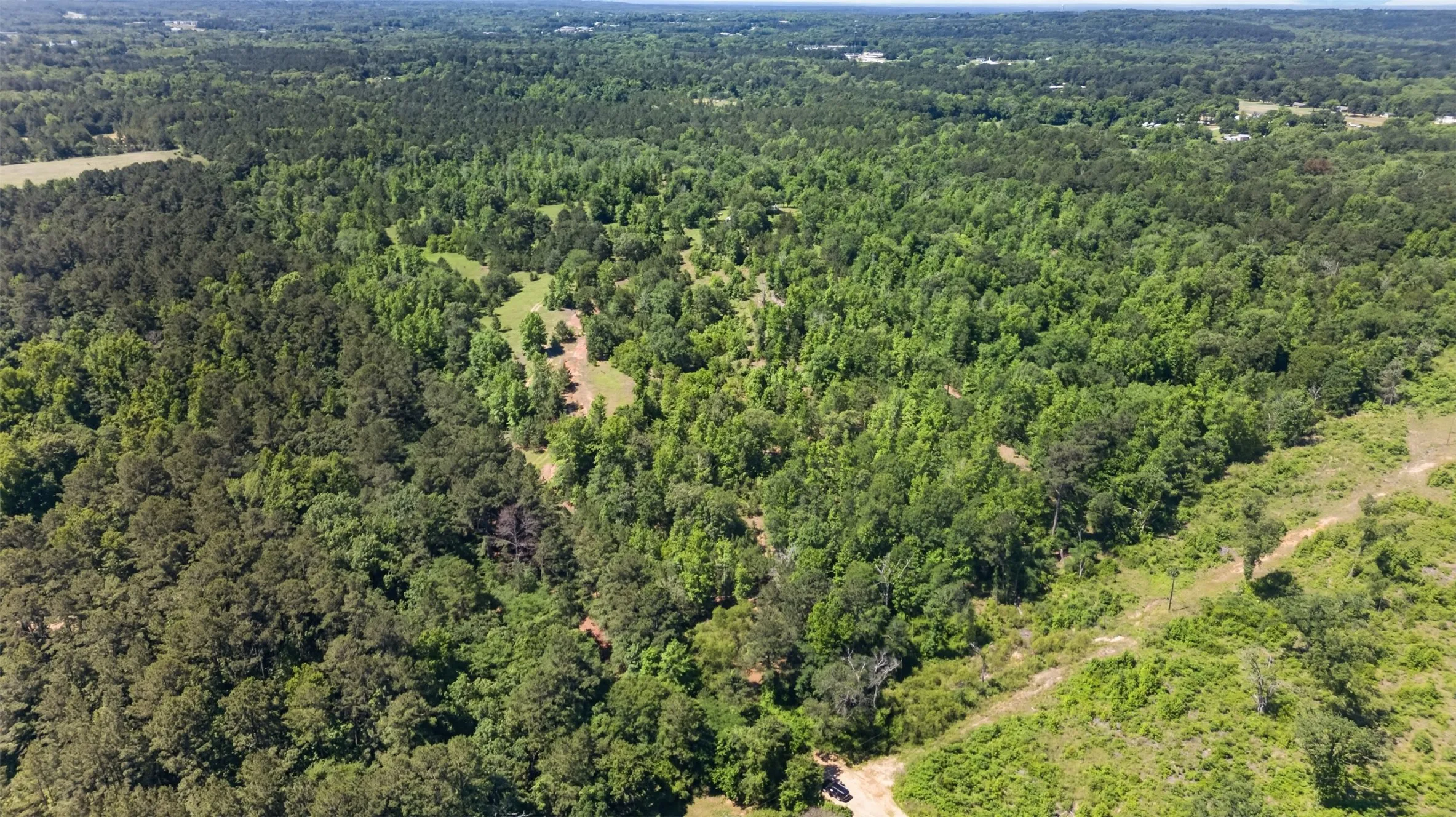 Unimproved Land For Sale in Anderson County , 0 Anderson County Road 359 (Off), Palestine, Texas 75801, 0, 0, Garage spaces, 0 Sqft, built in 0, mls#21270060, Real Estate Agent in Palestine, Homes For Sale in Anderson county, Homes For Sale in Palestine, Realtor in Palestine Texas, Real Estate Brokerage Independent Realty Texas, Luminita Cordes Realtor