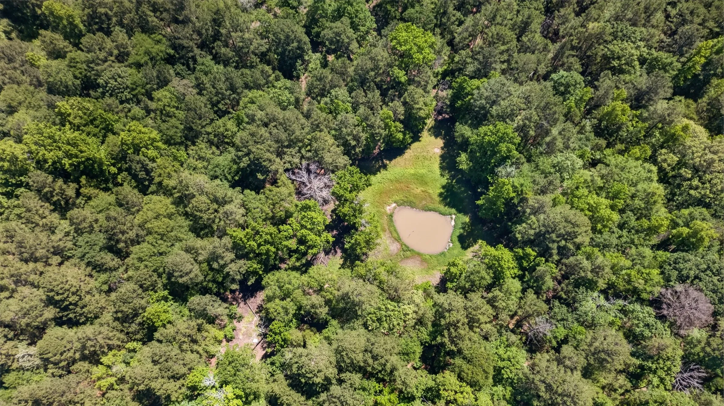Unimproved Land For Sale in Anderson County , 0 Anderson County Road 359 (Off), Palestine, Texas 75801, 0, 0, Garage spaces, 0 Sqft, built in 0, mls#21270060, Real Estate Agent in Palestine, Homes For Sale in Anderson county, Homes For Sale in Palestine, Realtor in Palestine Texas, Real Estate Brokerage Independent Realty Texas, Luminita Cordes Realtor