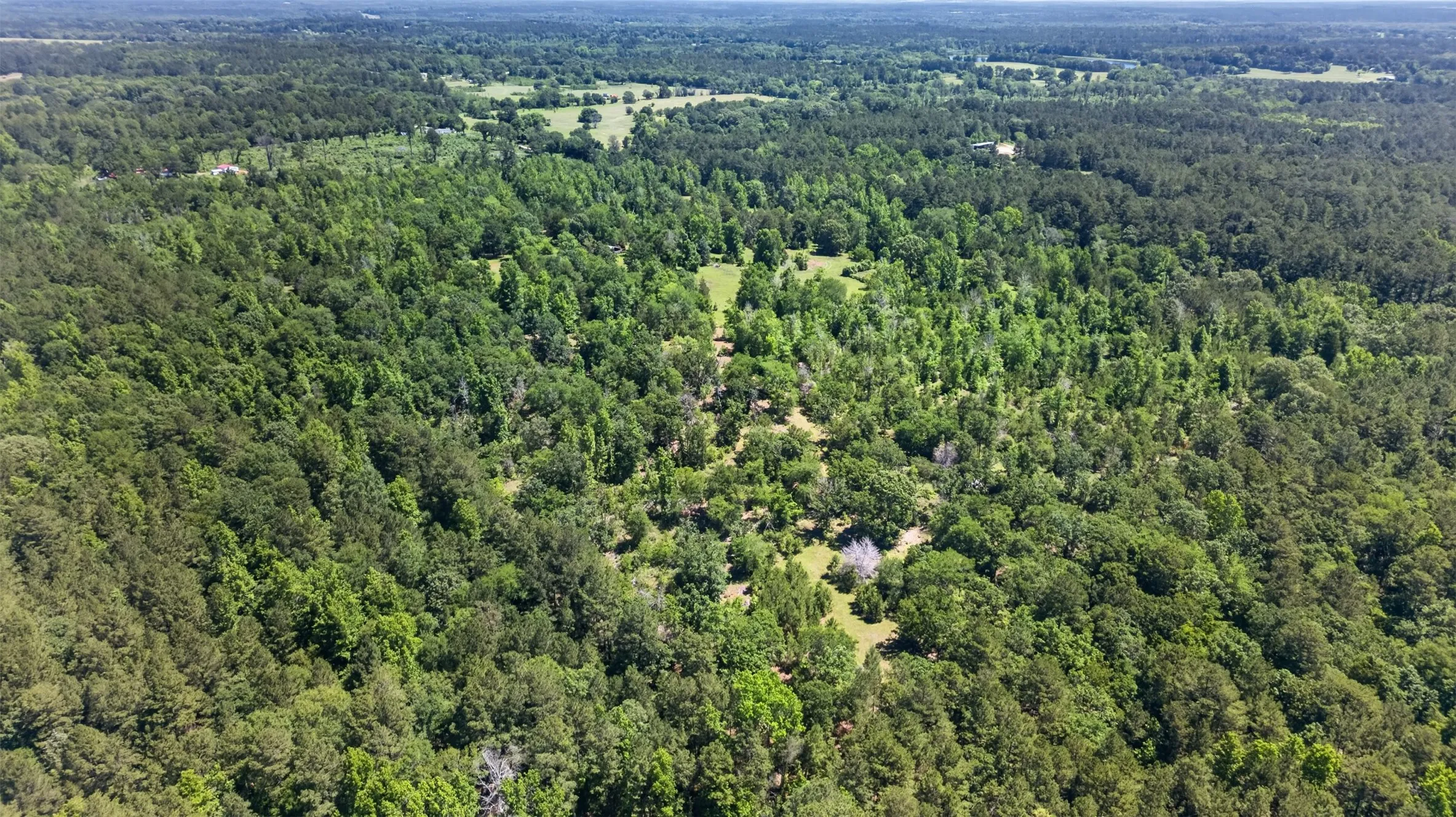 Unimproved Land For Sale in Anderson County , 0 Anderson County Road 359 (Off), Palestine, Texas 75801, 0, 0, Garage spaces, 0 Sqft, built in 0, mls#21270060, Real Estate Agent in Palestine, Homes For Sale in Anderson county, Homes For Sale in Palestine, Realtor in Palestine Texas, Real Estate Brokerage Independent Realty Texas, Luminita Cordes Realtor