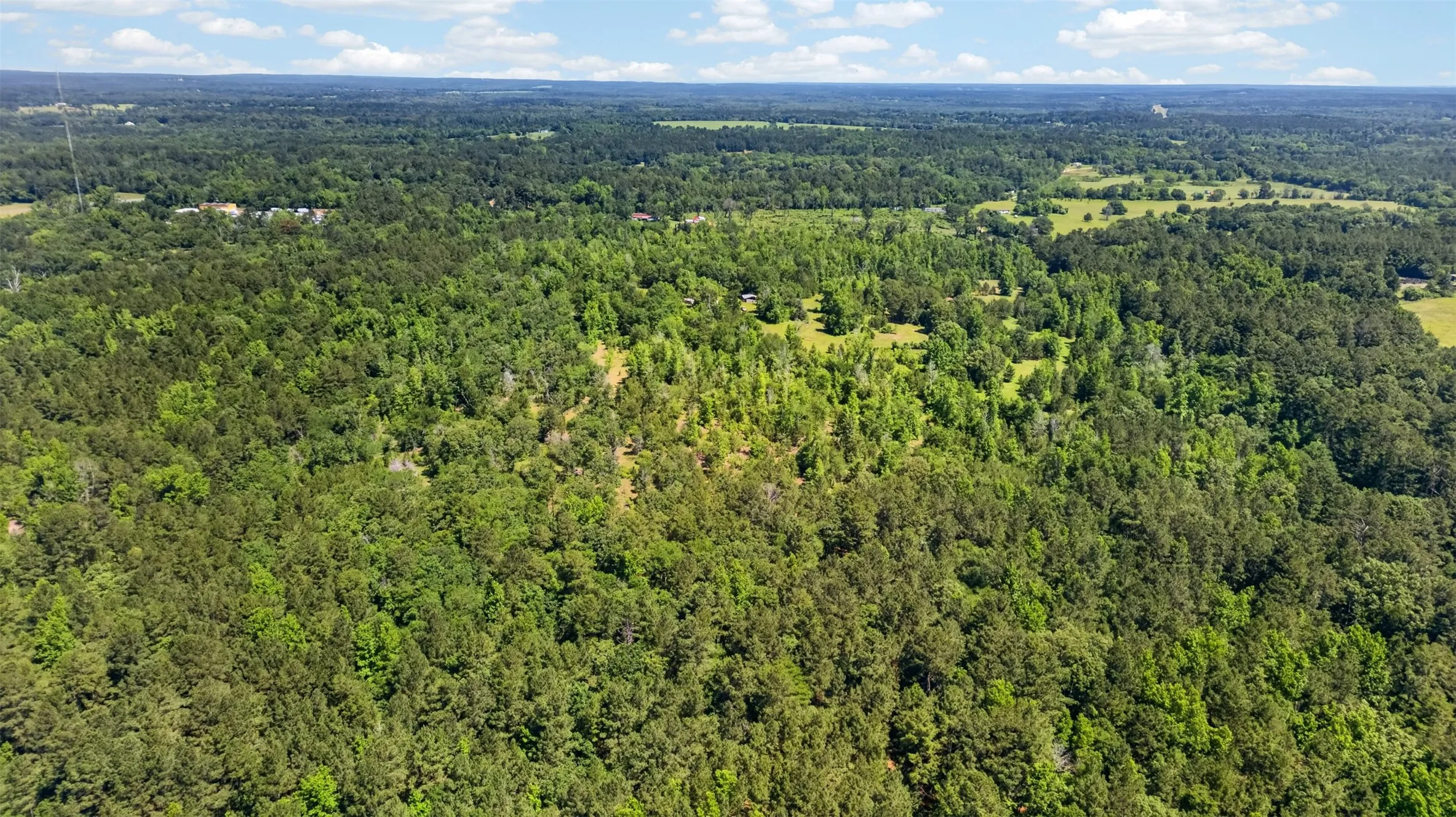Unimproved Land For Sale in Anderson County , 0 Anderson County Road 359 (Off), Palestine, Texas 75801, 0, 0, Garage spaces, 0 Sqft, built in 0, mls#21270060, Real Estate Agent in Palestine, Homes For Sale in Anderson county, Homes For Sale in Palestine, Realtor in Palestine Texas, Real Estate Brokerage Independent Realty Texas, Luminita Cordes Realtor