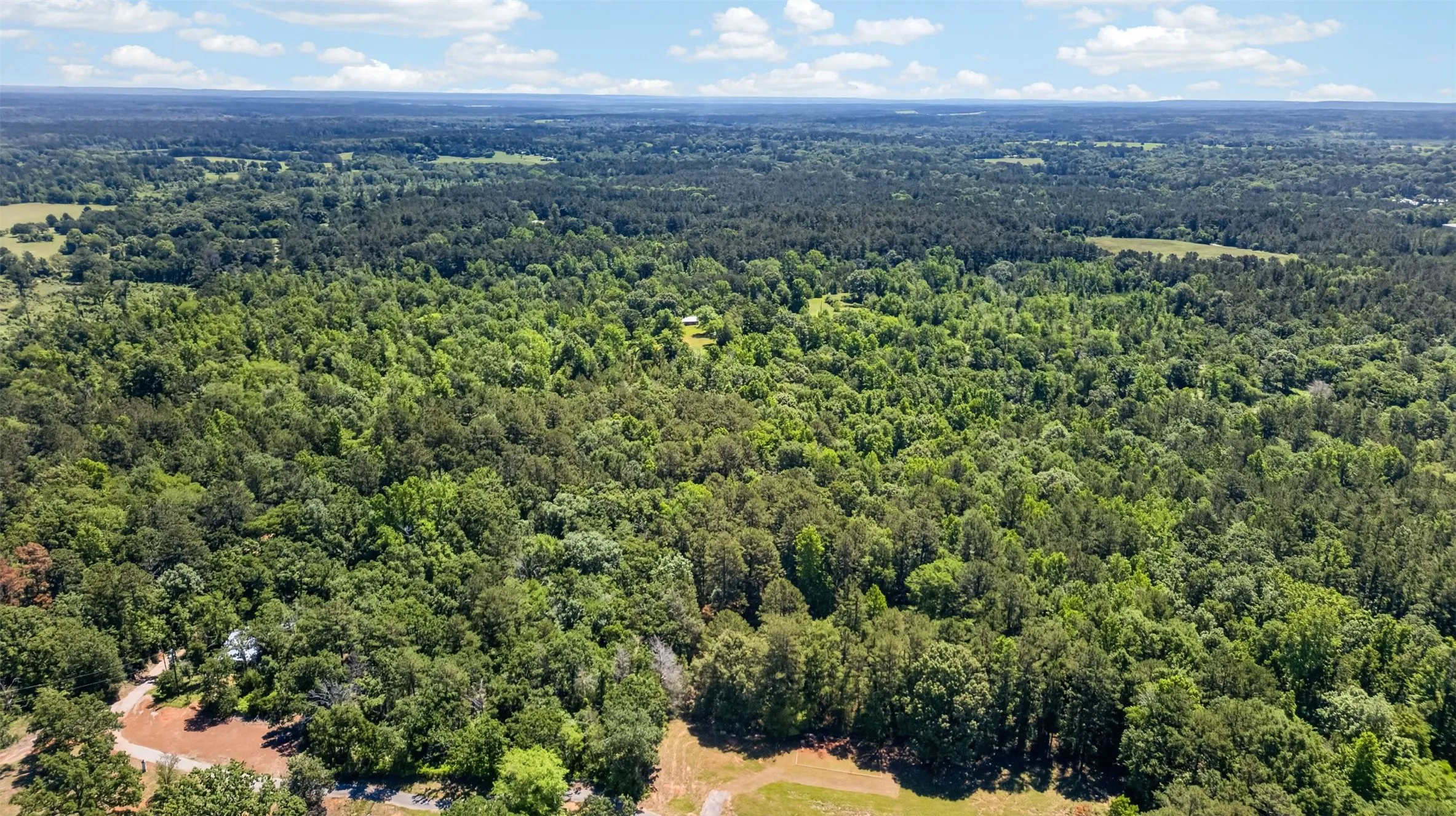 Unimproved Land For Sale in Anderson County , 0 Anderson County Road 359 (Off), Palestine, Texas 75801, 0, 0, Garage spaces, 0 Sqft, built in 0, mls#21270060, Real Estate Agent in Palestine, Homes For Sale in Anderson county, Homes For Sale in Palestine, Realtor in Palestine Texas, Real Estate Brokerage Independent Realty Texas, Luminita Cordes Realtor