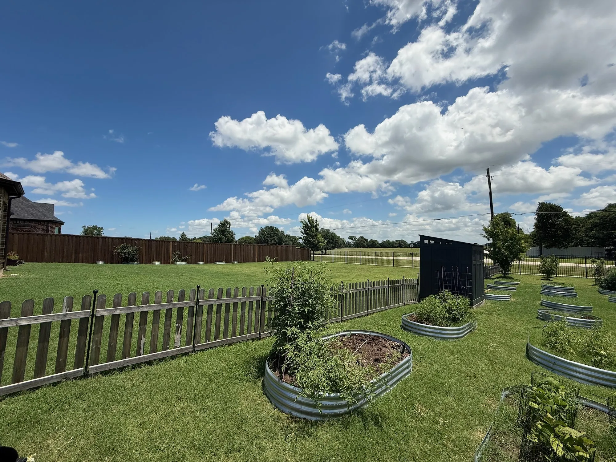 Expansive green lawn with a dark wood privacy fence, featuring multiple galvanized steel raised garden beds and a modern black shed