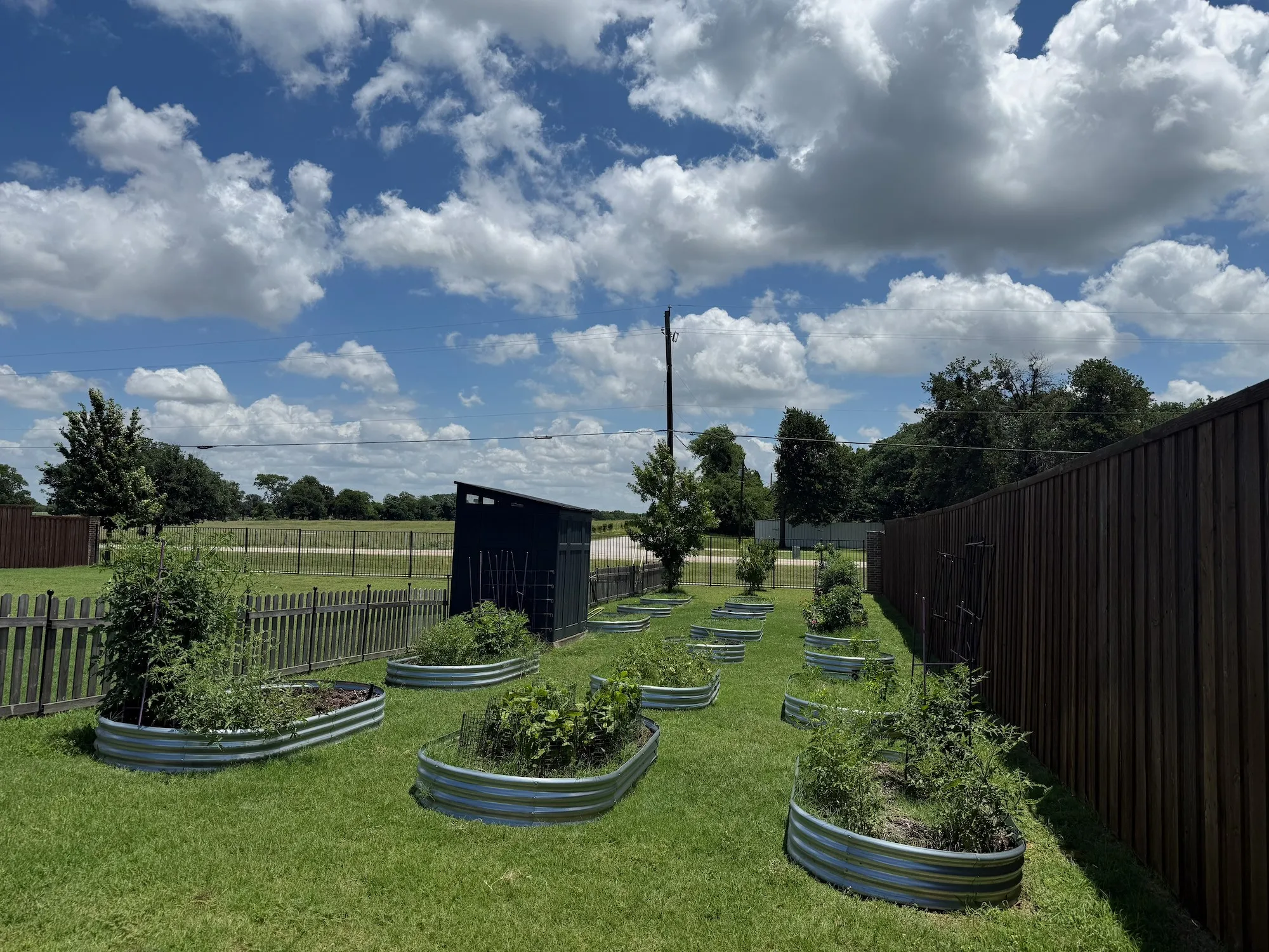 Expansive outdoor space featuring a series of oval-shaped raised garden beds, a slatted wooden privacy fence, a picket fence, a dedicated storage shed, and a lush green lawn