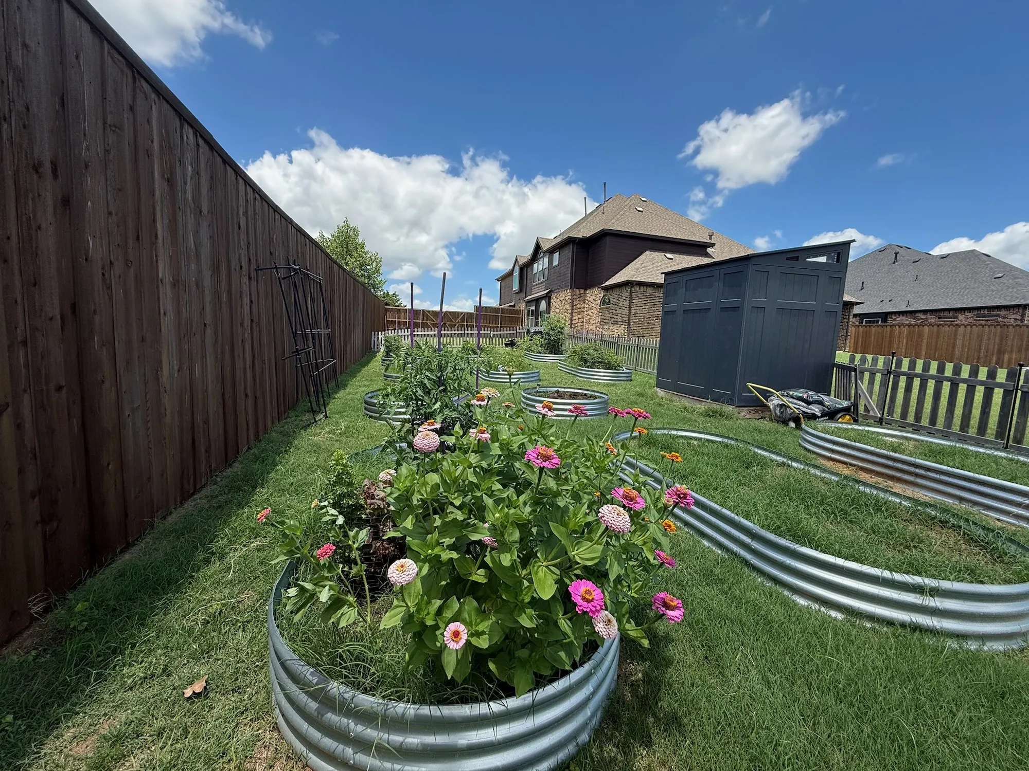 Expansive backyard featuring a stained wood privacy fence, multiple galvanized steel raised garden beds, and a dark-toned storage shed