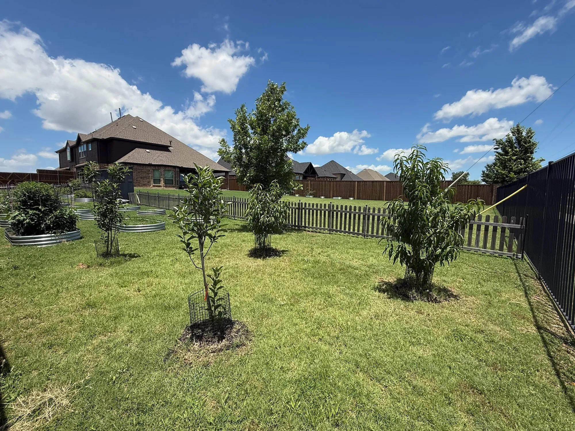Spacious backyard featuring multiple young trees, raised garden beds, a picket fence, and a dark privacy fence