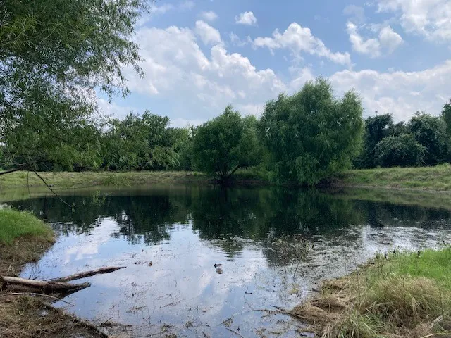 Single Family Residence For Sale in Parker County , 288 Sanders Road, Weatherford, Texas 76087, 4 Bedroom, 4 Bathroom, Garage spaces, 3,620 Sqft, built in 1987, mls#21253479, Real Estate Agent in Weatherford, Homes For Sale in Parker county, Homes For Sale in Weatherford, Realtor in Weatherford Texas, Real Estate Brokerage Independent Realty Texas, Luminita Cordes Realtor