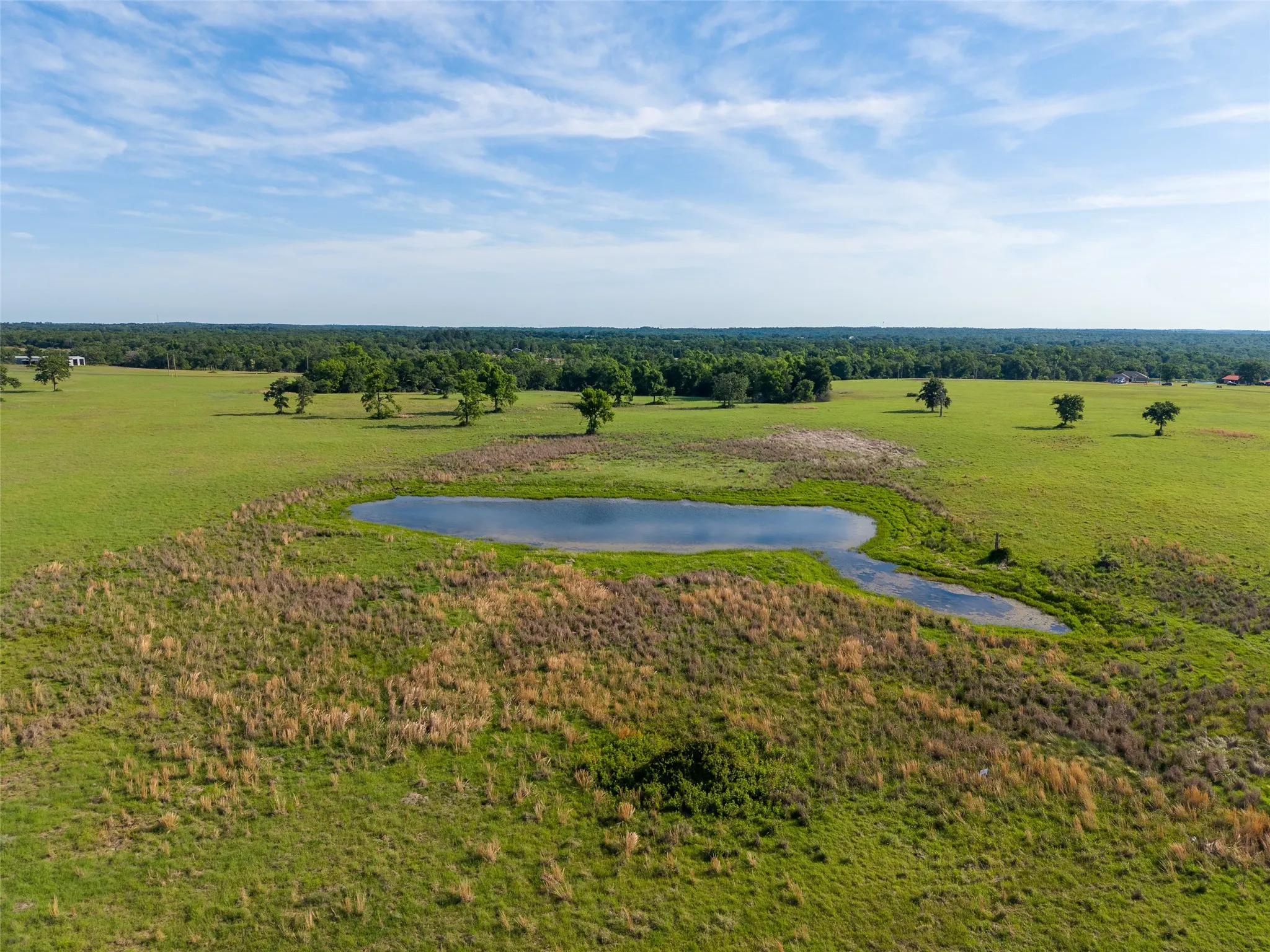 Unimproved Land For Sale in Leon County , Lot 67 Horseshoe Lake Ranch, Marquez, Texas 77865, 0, 0, Garage spaces, 0 Sqft, built in 0, mls#21269643, Real Estate Agent in Marquez, Homes For Sale in Leon county, Homes For Sale in Marquez, Realtor in Marquez Texas, Real Estate Brokerage Independent Realty Texas, Luminita Cordes Realtor