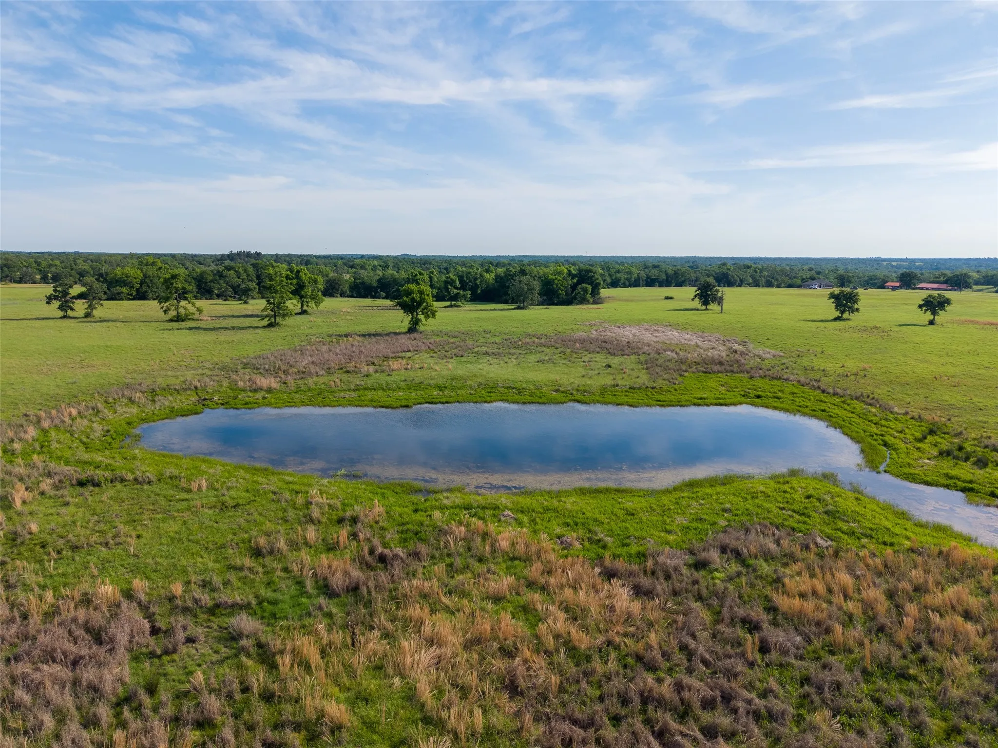 Unimproved Land For Sale in Leon County , Lot 67 Horseshoe Lake Ranch, Marquez, Texas 77865, 0, 0, Garage spaces, 0 Sqft, built in 0, mls#21269643, Real Estate Agent in Marquez, Homes For Sale in Leon county, Homes For Sale in Marquez, Realtor in Marquez Texas, Real Estate Brokerage Independent Realty Texas, Luminita Cordes Realtor
