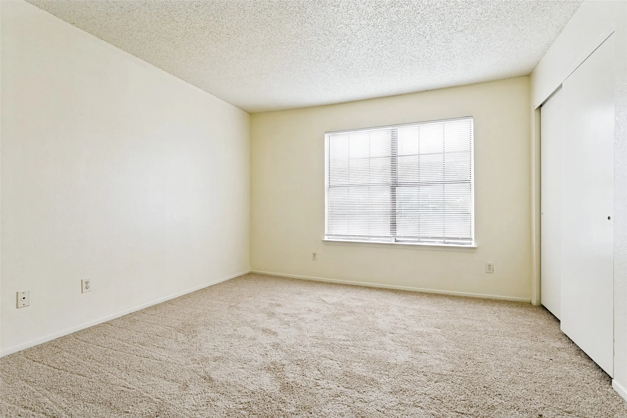 Primary Bedroom with windows for natural​​‌​​​​‌​​‌‌​‌‌​​​‌‌​‌​‌​‌​​​‌​​ light