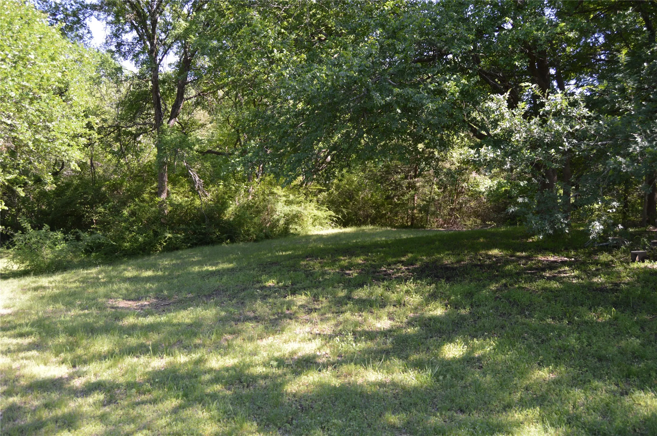 Expansive grassy area surrounded by mature trees and lush foliage