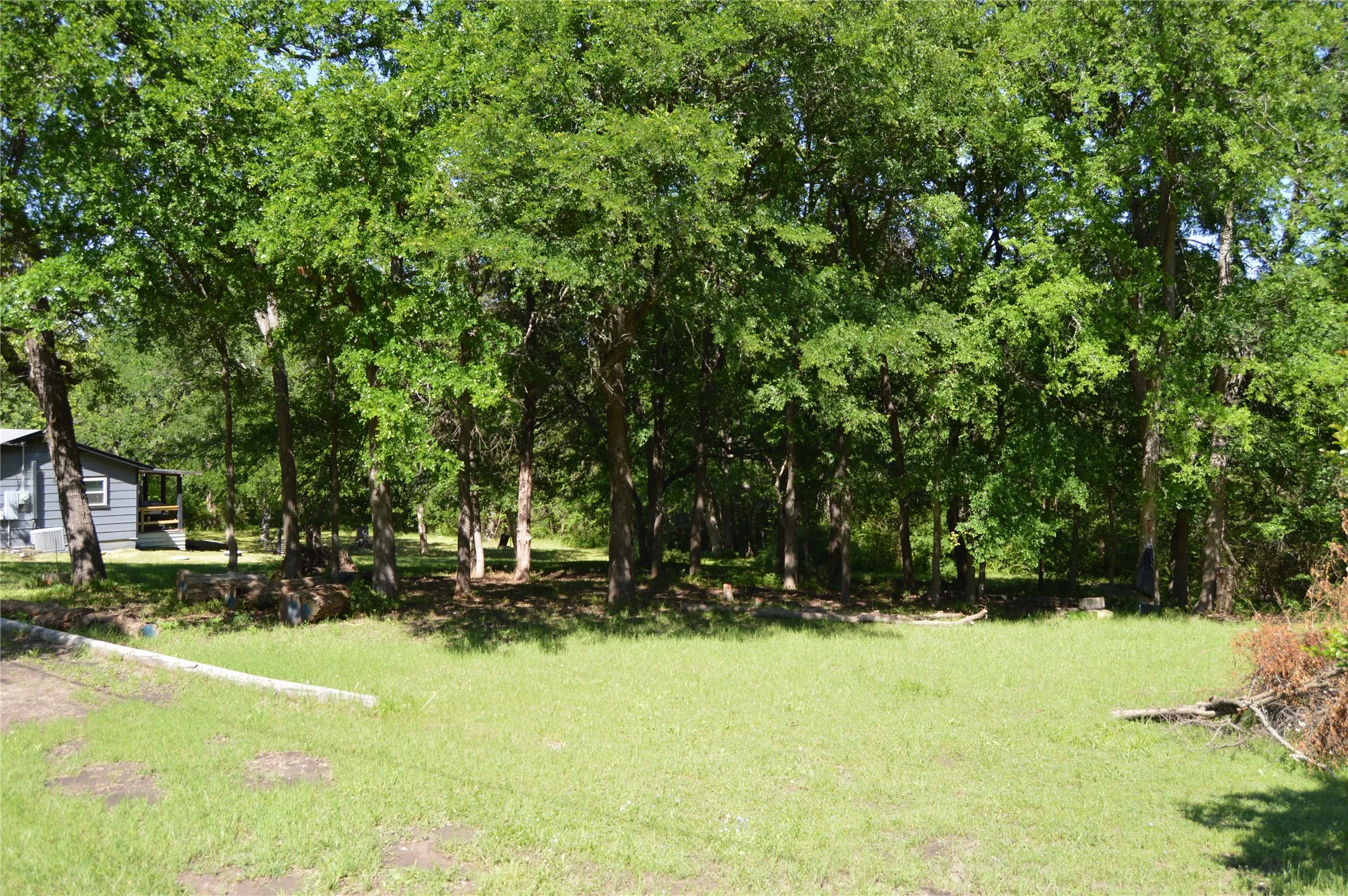 Expansive green space featuring mature trees