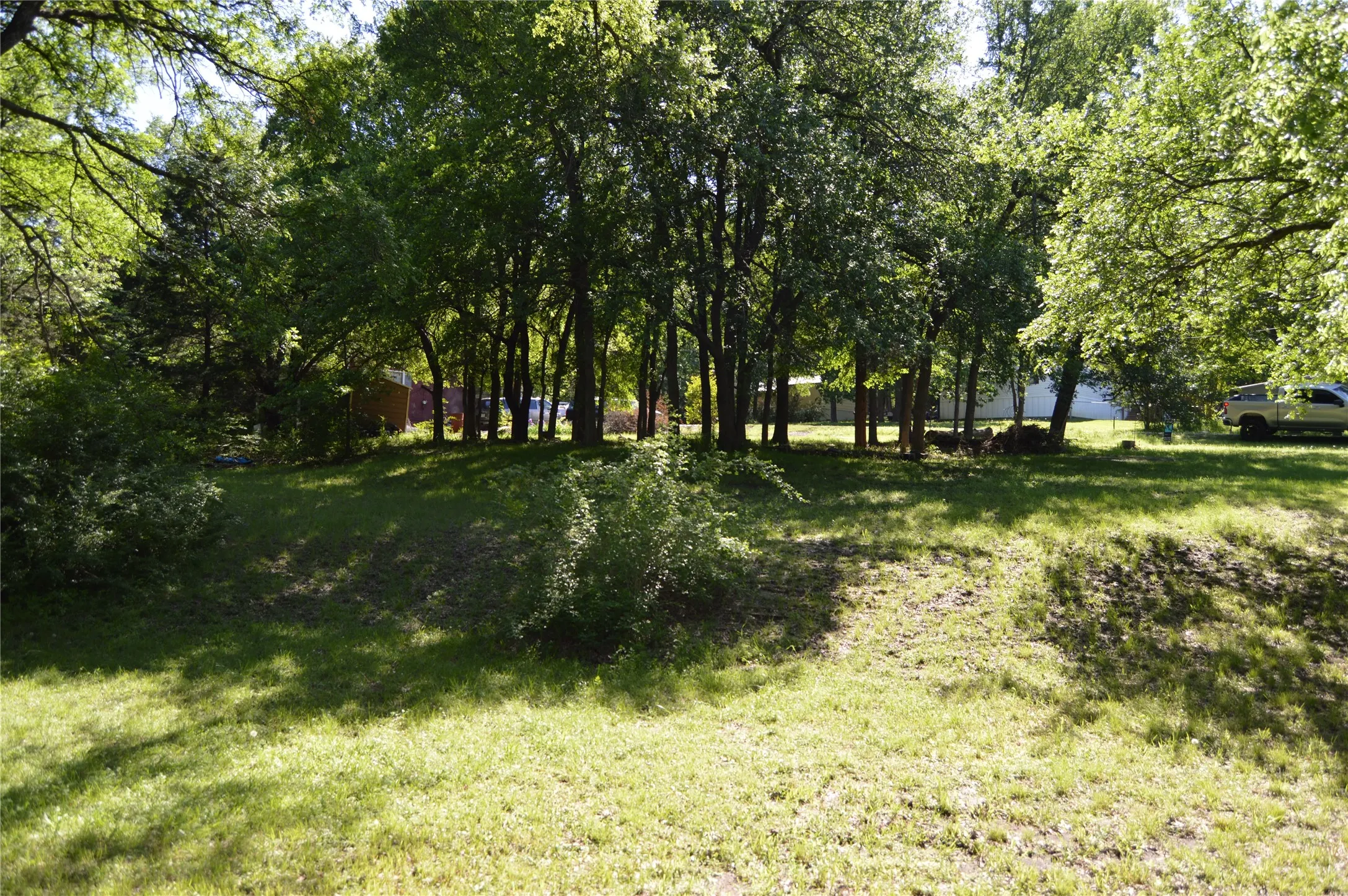 Expansive green space featuring mature trees and varied foliage