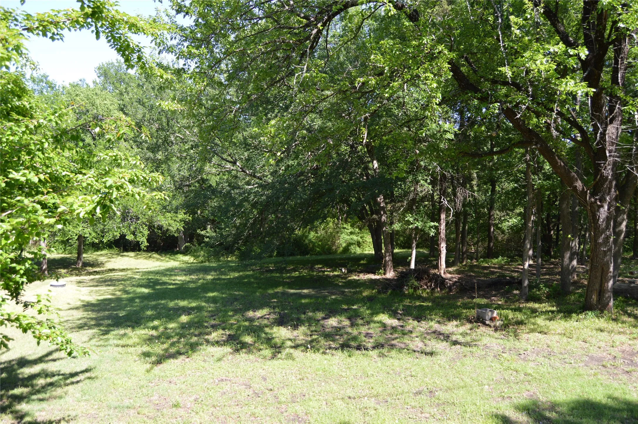 Expansive outdoor space featuring a verdant lawn and mature trees