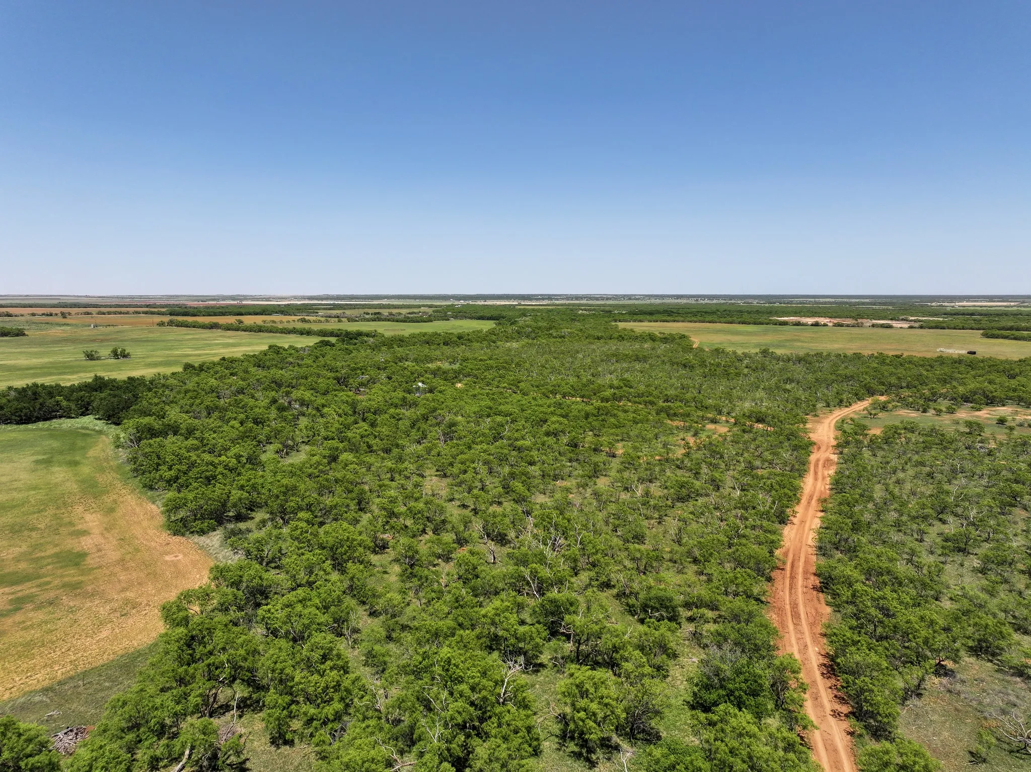 Unimproved Land For Sale in Jones County , TBD Tract 4 FM 3116, Hawley, Texas 79525, 0, 0, Garage spaces, 0 Sqft, built in 0, Price $84,900, mls#21270267, Real Estate Agent in Hawley, Homes For Sale in Jones county, Homes For Sale in Hawley, Realtor in Hawley Texas, Real Estate Brokerage Independent Realty Texas, Luminita Cordes Realtor