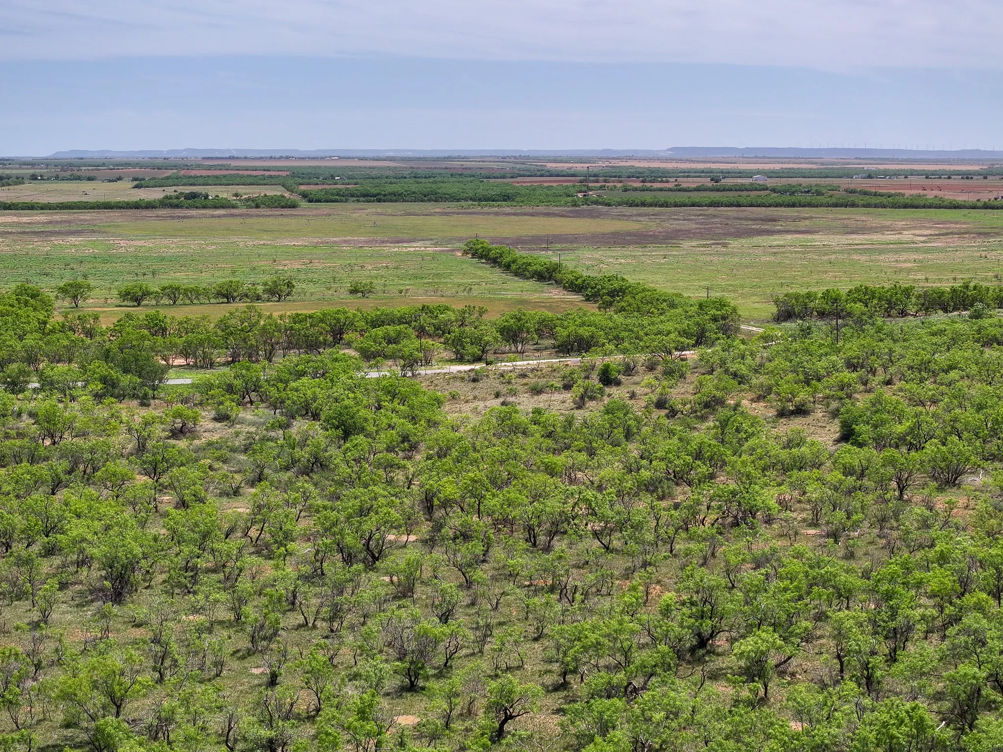 Unimproved Land For Sale in Jones County , TBD Tract 4 FM 3116, Hawley, Texas 79525, 0, 0, Garage spaces, 0 Sqft, built in 0, Price $84,900, mls#21270267, Real Estate Agent in Hawley, Homes For Sale in Jones county, Homes For Sale in Hawley, Realtor in Hawley Texas, Real Estate Brokerage Independent Realty Texas, Luminita Cordes Realtor