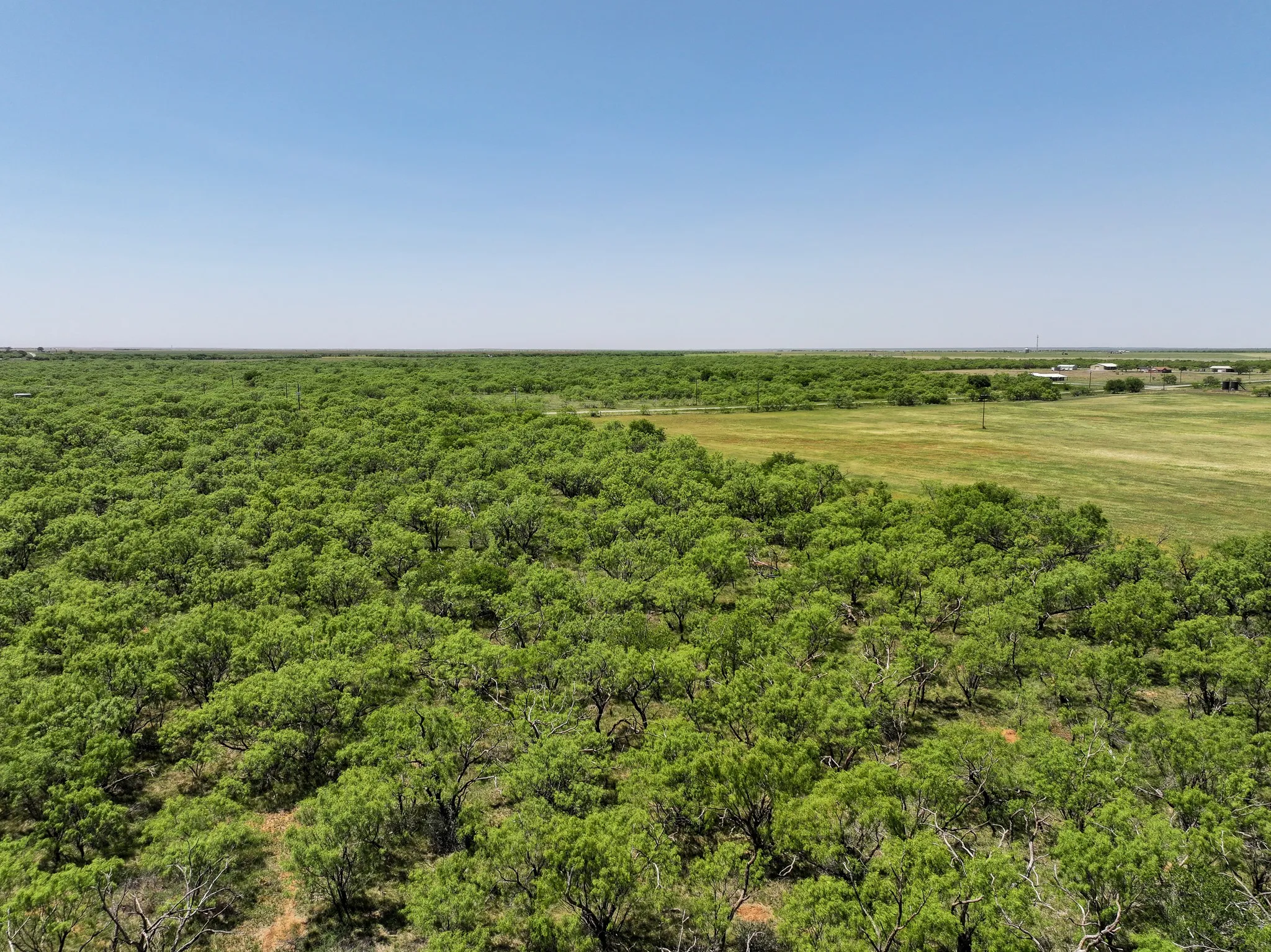 Unimproved Land For Sale in Jones County , TBD Tract 4 FM 3116, Hawley, Texas 79525, 0, 0, Garage spaces, 0 Sqft, built in 0, Price $84,900, mls#21270267, Real Estate Agent in Hawley, Homes For Sale in Jones county, Homes For Sale in Hawley, Realtor in Hawley Texas, Real Estate Brokerage Independent Realty Texas, Luminita Cordes Realtor