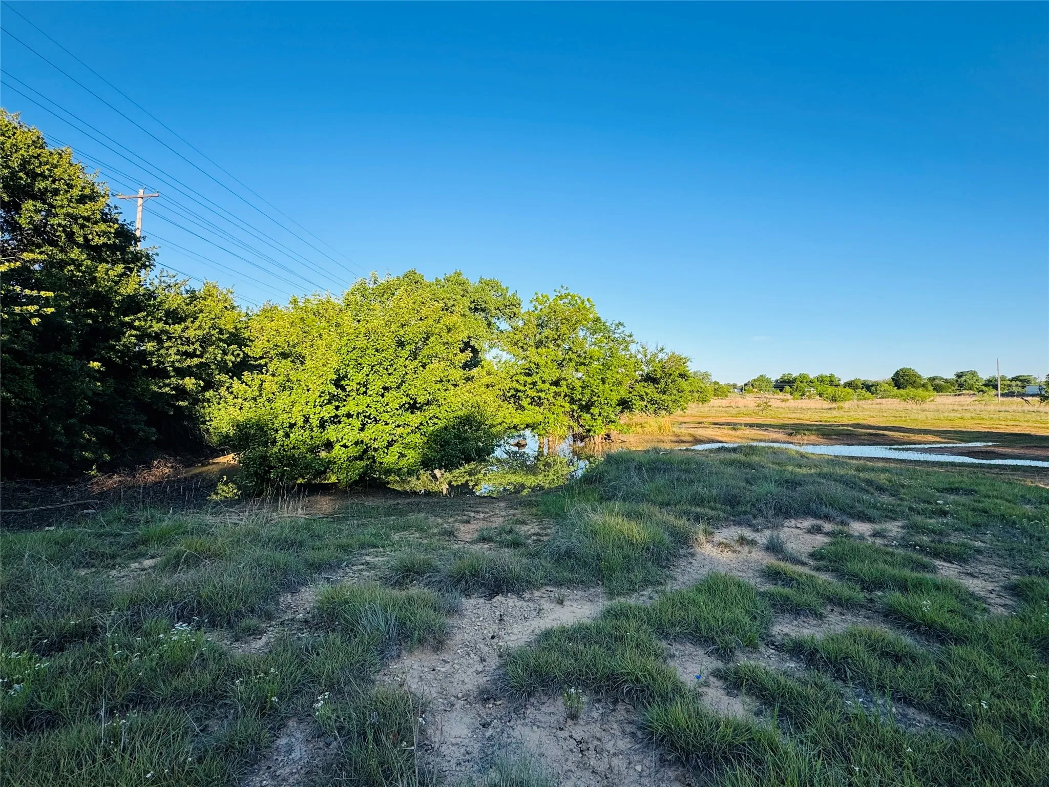 Unimproved Land For Sale in Callahan County , 318 County Road 127, Clyde, Texas 79510, 0, 0, Garage spaces, 0 Sqft, built in 0, mls#21267874, Real Estate Agent in Clyde, Homes For Sale in Callahan county, Homes For Sale in Clyde, Realtor in Clyde Texas, Real Estate Brokerage Independent Realty Texas, Luminita Cordes Realtor