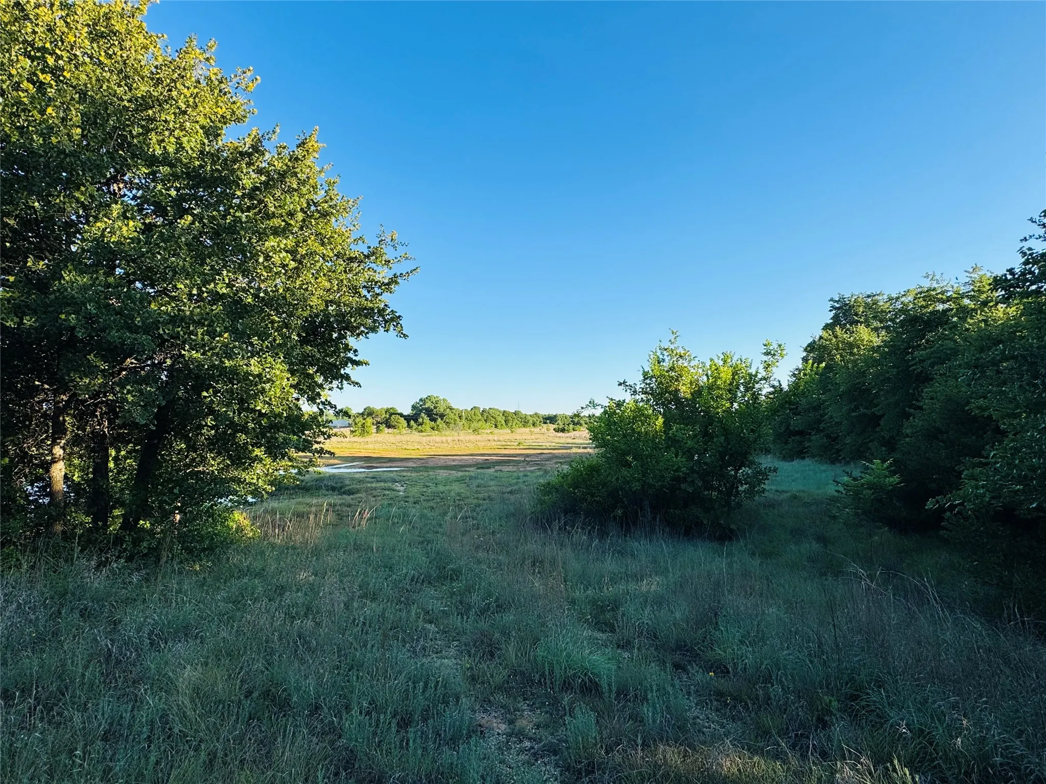 Unimproved Land For Sale in Callahan County , 318 County Road 127, Clyde, Texas 79510, 0, 0, Garage spaces, 0 Sqft, built in 0, mls#21267874, Real Estate Agent in Clyde, Homes For Sale in Callahan county, Homes For Sale in Clyde, Realtor in Clyde Texas, Real Estate Brokerage Independent Realty Texas, Luminita Cordes Realtor