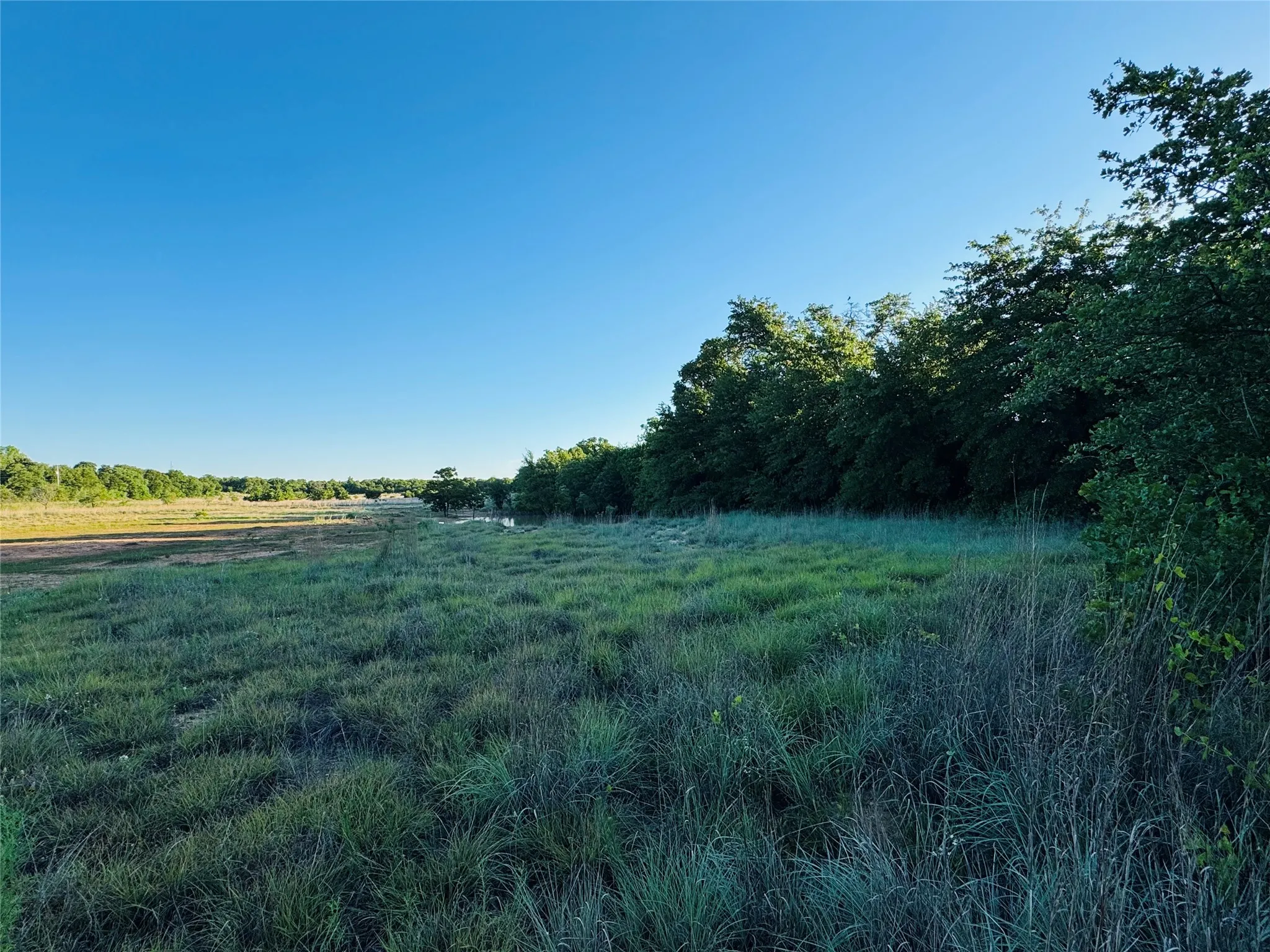 Unimproved Land For Sale in Callahan County , 318 County Road 127, Clyde, Texas 79510, 0, 0, Garage spaces, 0 Sqft, built in 0, mls#21267874, Real Estate Agent in Clyde, Homes For Sale in Callahan county, Homes For Sale in Clyde, Realtor in Clyde Texas, Real Estate Brokerage Independent Realty Texas, Luminita Cordes Realtor