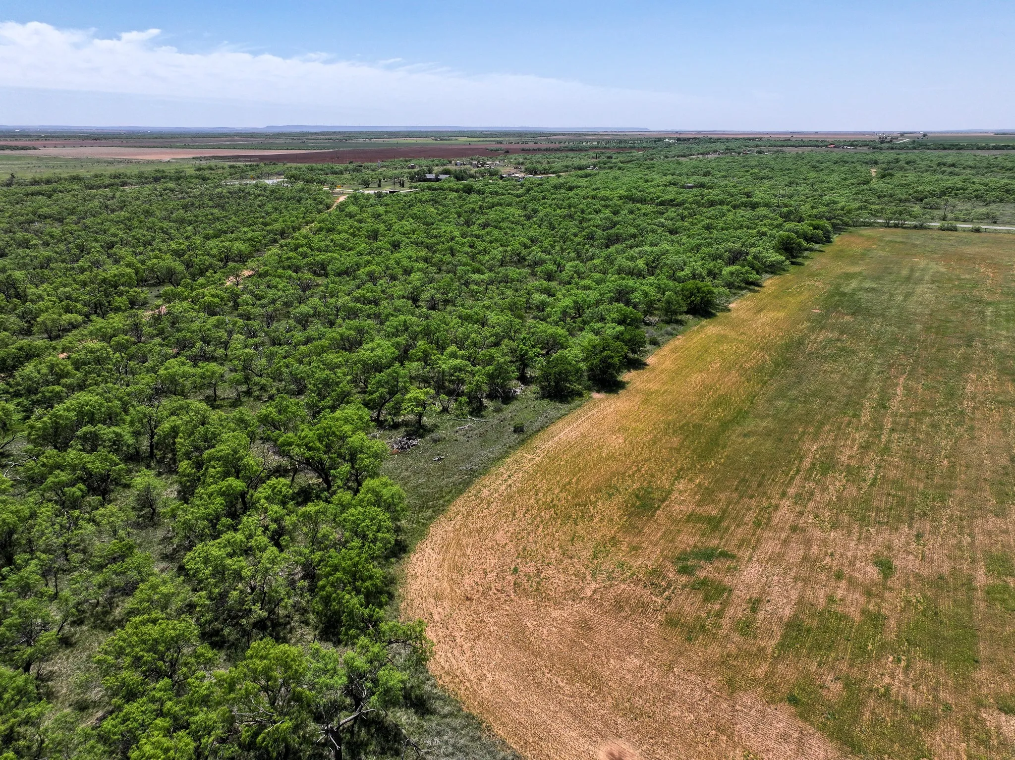 Unimproved Land For Sale in Jones County , TBD Tract 8 FM 1812, Hawley, Texas 79525, 0, 0, Garage spaces, 0 Sqft, built in 0, mls#21270302, Real Estate Agent in Hawley, Homes For Sale in Jones county, Homes For Sale in Hawley, Realtor in Hawley Texas, Real Estate Brokerage Independent Realty Texas, Luminita Cordes Realtor