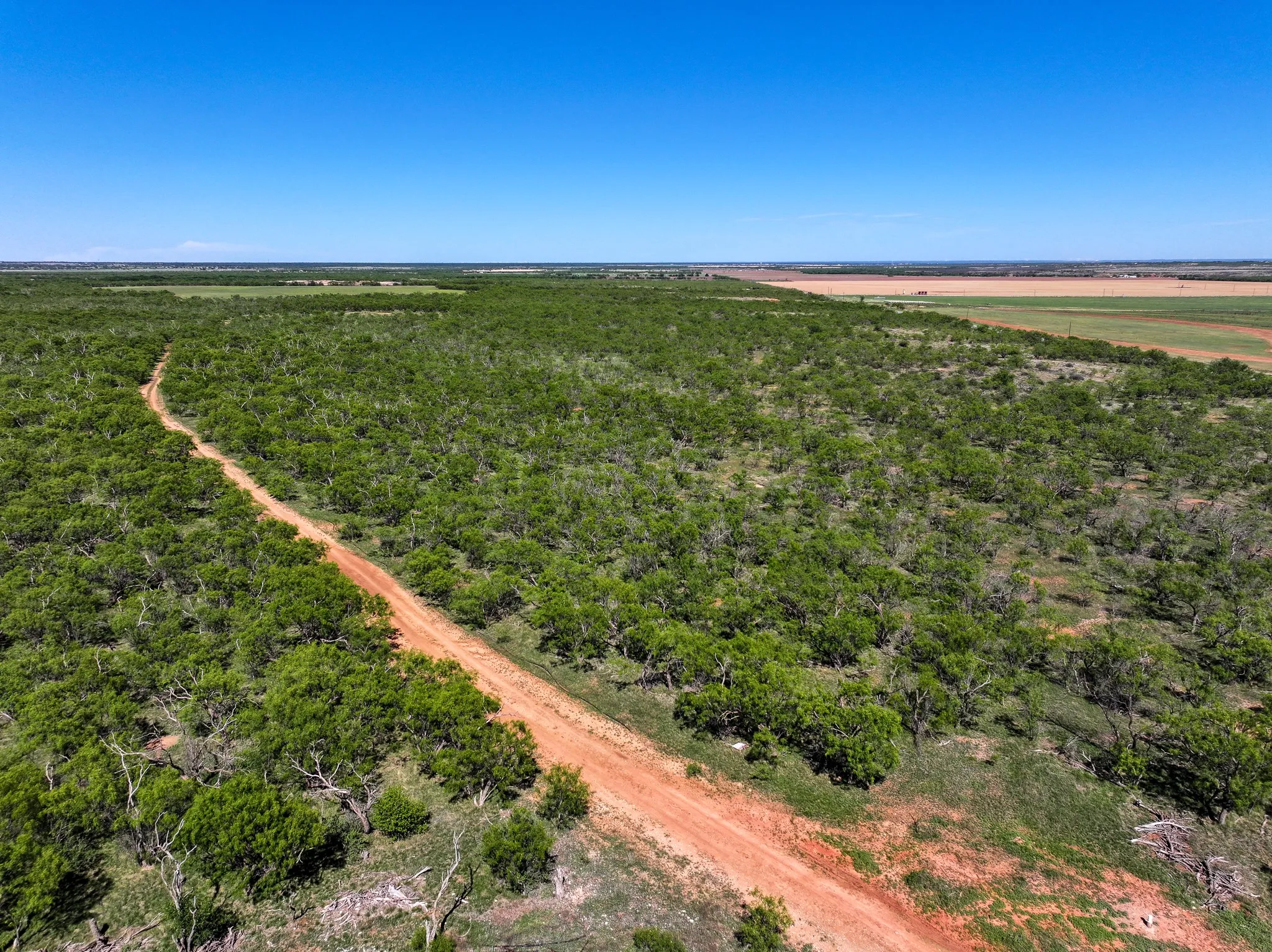 Unimproved Land For Sale in Jones County , TBD Tract 8 FM 1812, Hawley, Texas 79525, 0, 0, Garage spaces, 0 Sqft, built in 0, mls#21270302, Real Estate Agent in Hawley, Homes For Sale in Jones county, Homes For Sale in Hawley, Realtor in Hawley Texas, Real Estate Brokerage Independent Realty Texas, Luminita Cordes Realtor