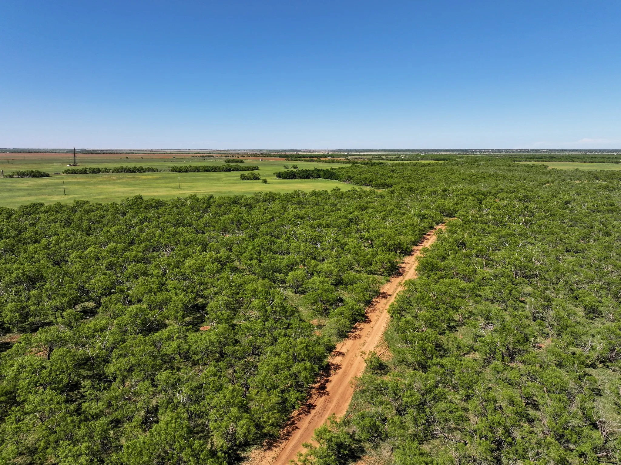 Unimproved Land For Sale in Jones County , TBD Tract 8 FM 1812, Hawley, Texas 79525, 0, 0, Garage spaces, 0 Sqft, built in 0, mls#21270302, Real Estate Agent in Hawley, Homes For Sale in Jones county, Homes For Sale in Hawley, Realtor in Hawley Texas, Real Estate Brokerage Independent Realty Texas, Luminita Cordes Realtor
