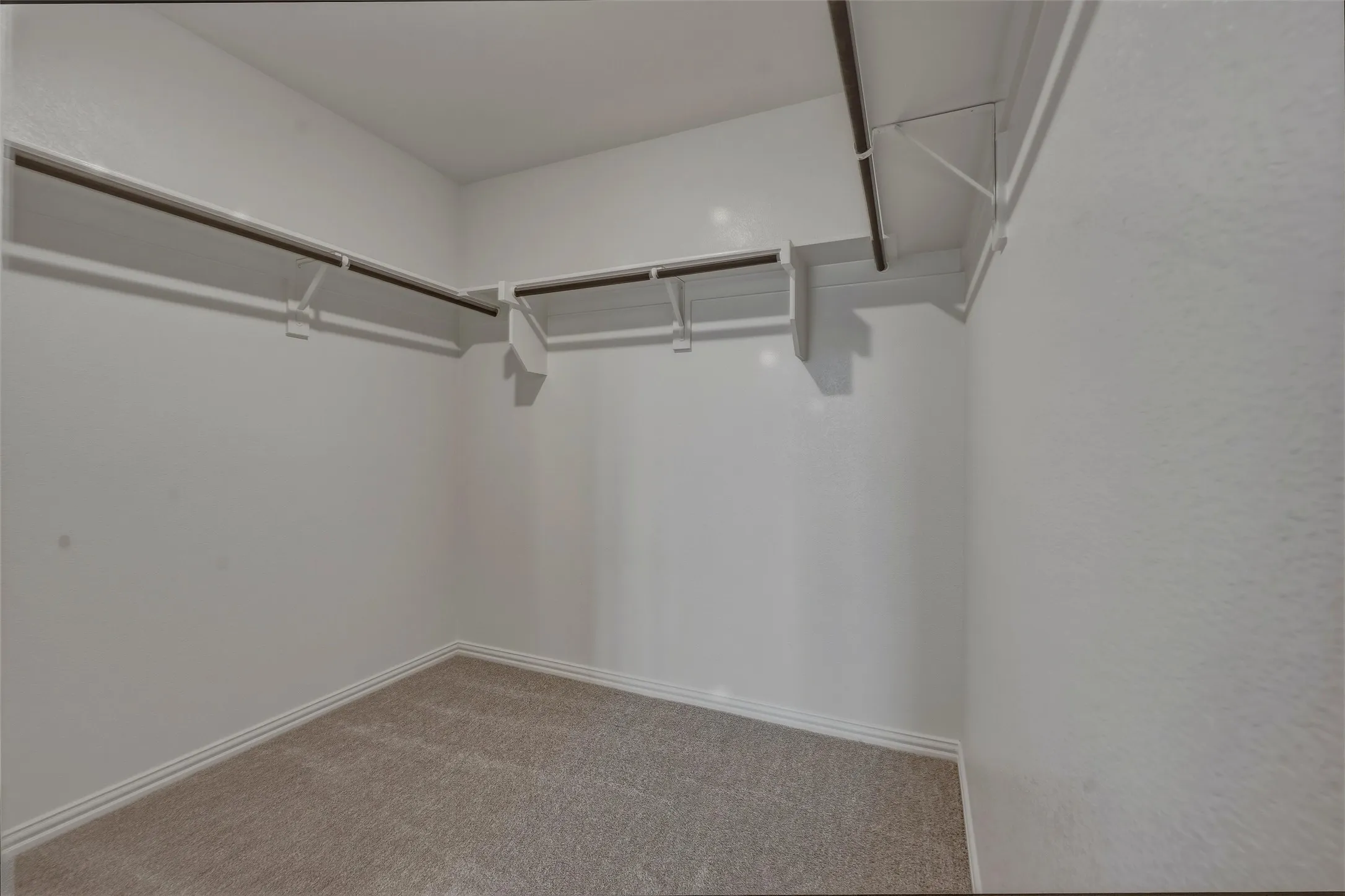Walk-in closet featuring white walls, baseboards, and neutral-toned carpet