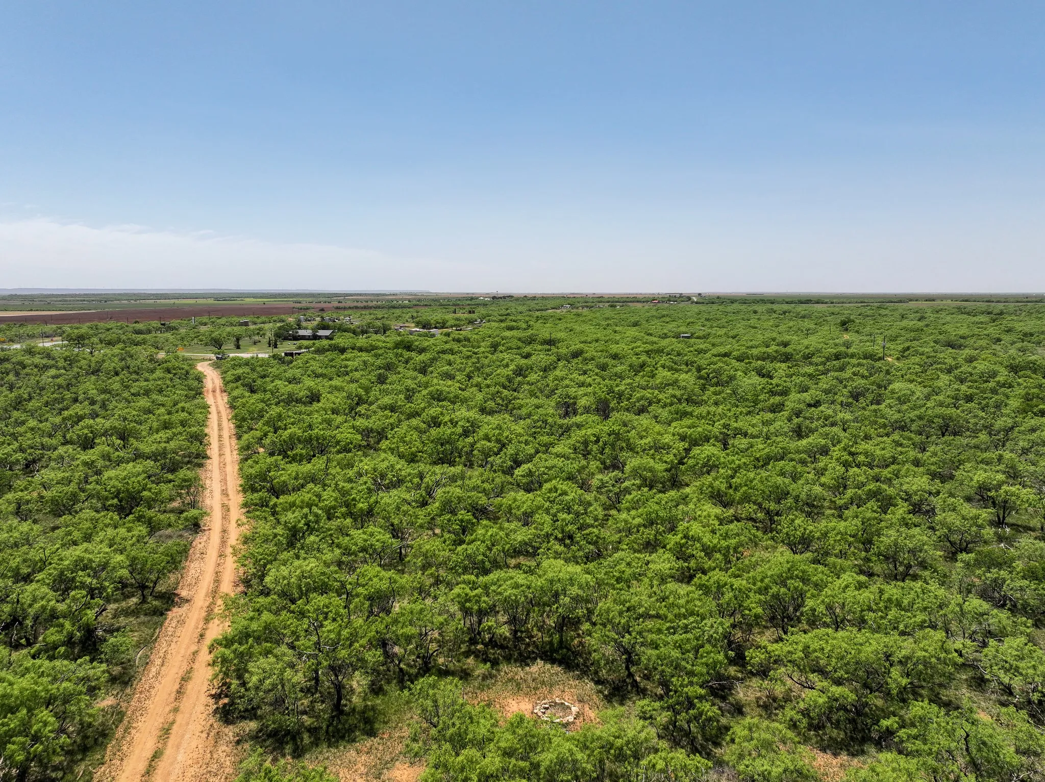 Unimproved Land For Sale in Jones County , TBD Tract 9 FM 1812, Hawley, Texas 79525, 0, 0, Garage spaces, 0 Sqft, built in 0, Price $84,900, mls#21270327, Real Estate Agent in Hawley, Homes For Sale in Jones county, Homes For Sale in Hawley, Realtor in Hawley Texas, Real Estate Brokerage Independent Realty Texas, Luminita Cordes Realtor